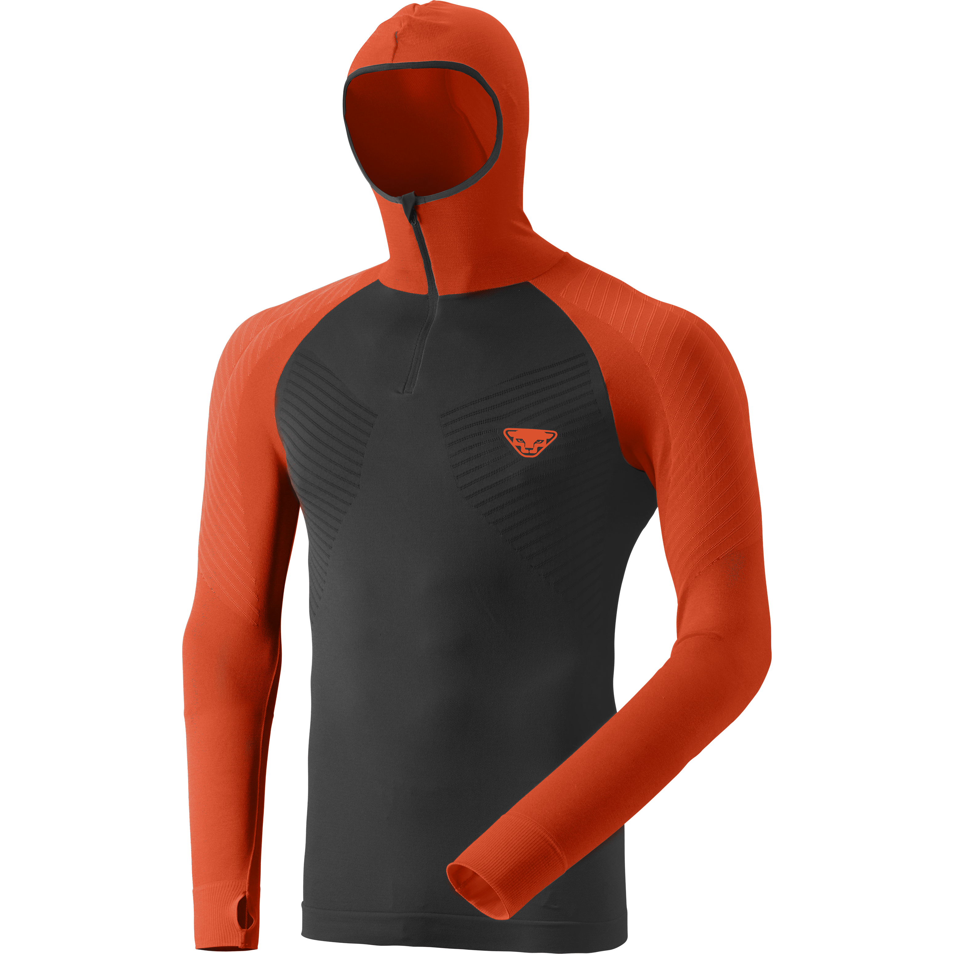 FT Dryarn® Warm Hoody Herren still image