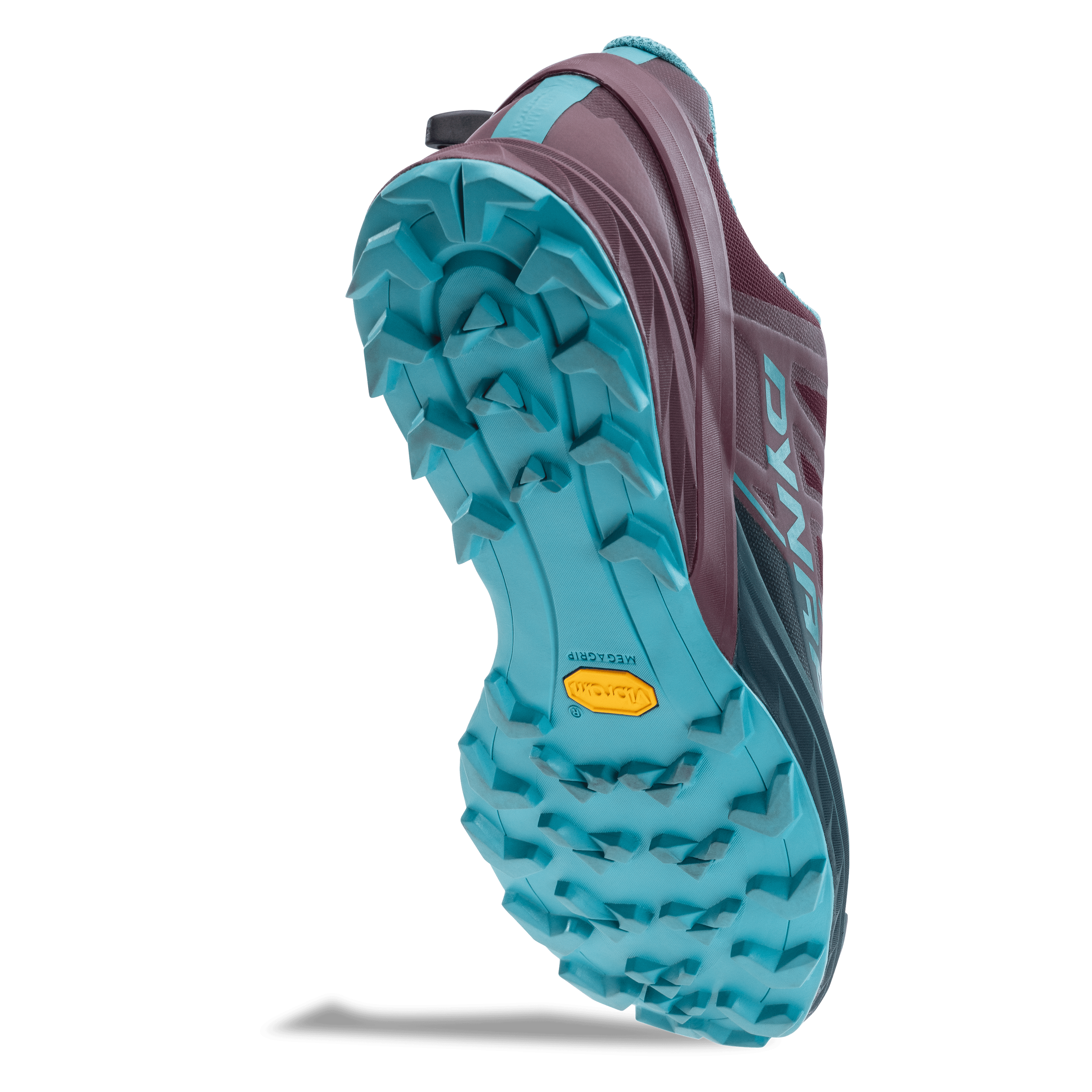 Alpine scarpa running uomo perspective_view image