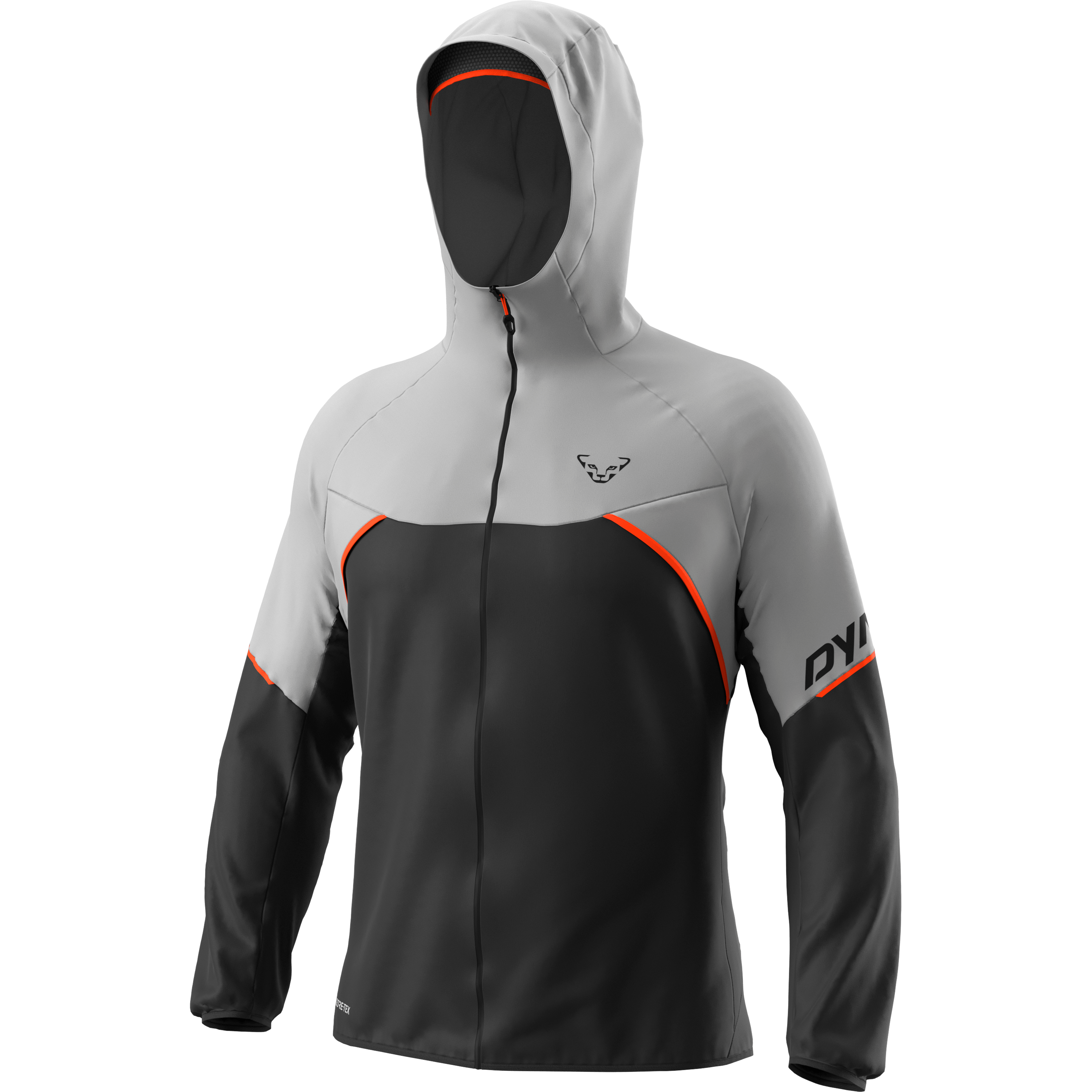 Alpine GORE-TEX® Jacke Herren still image