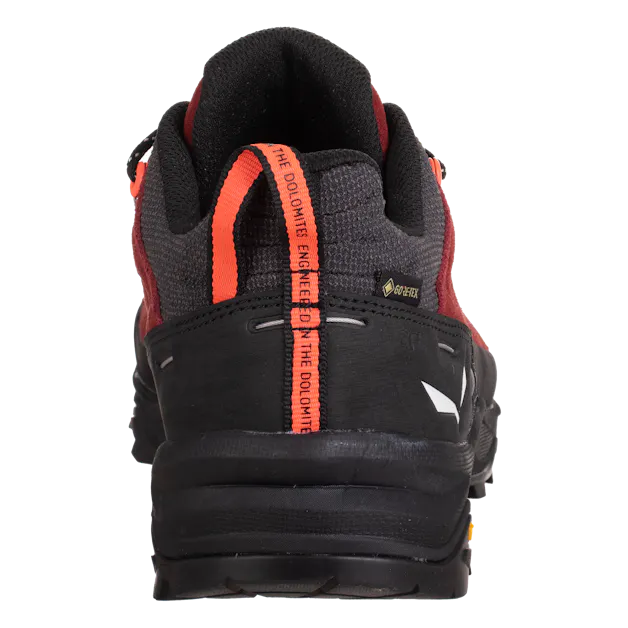 Alp Trainer 2 Gore-Tex® Damen Schuh perspective_view image