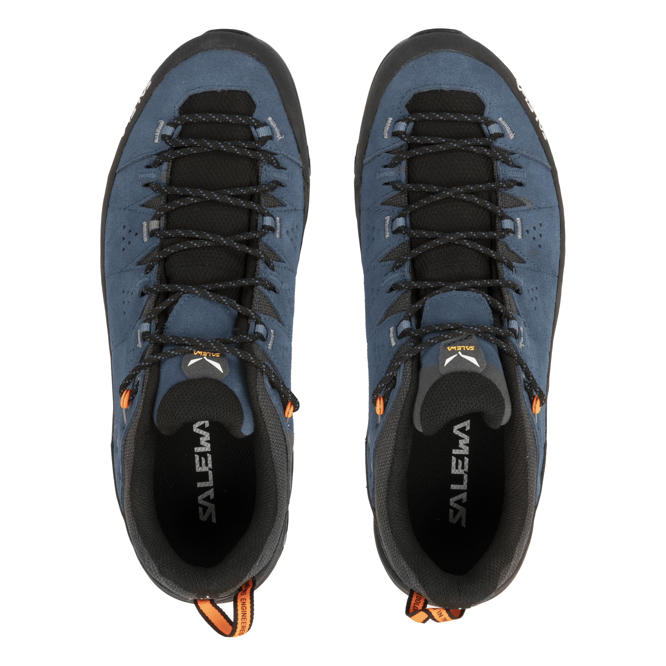 Alp Trainer 2 Schuh Herren perspective_view image