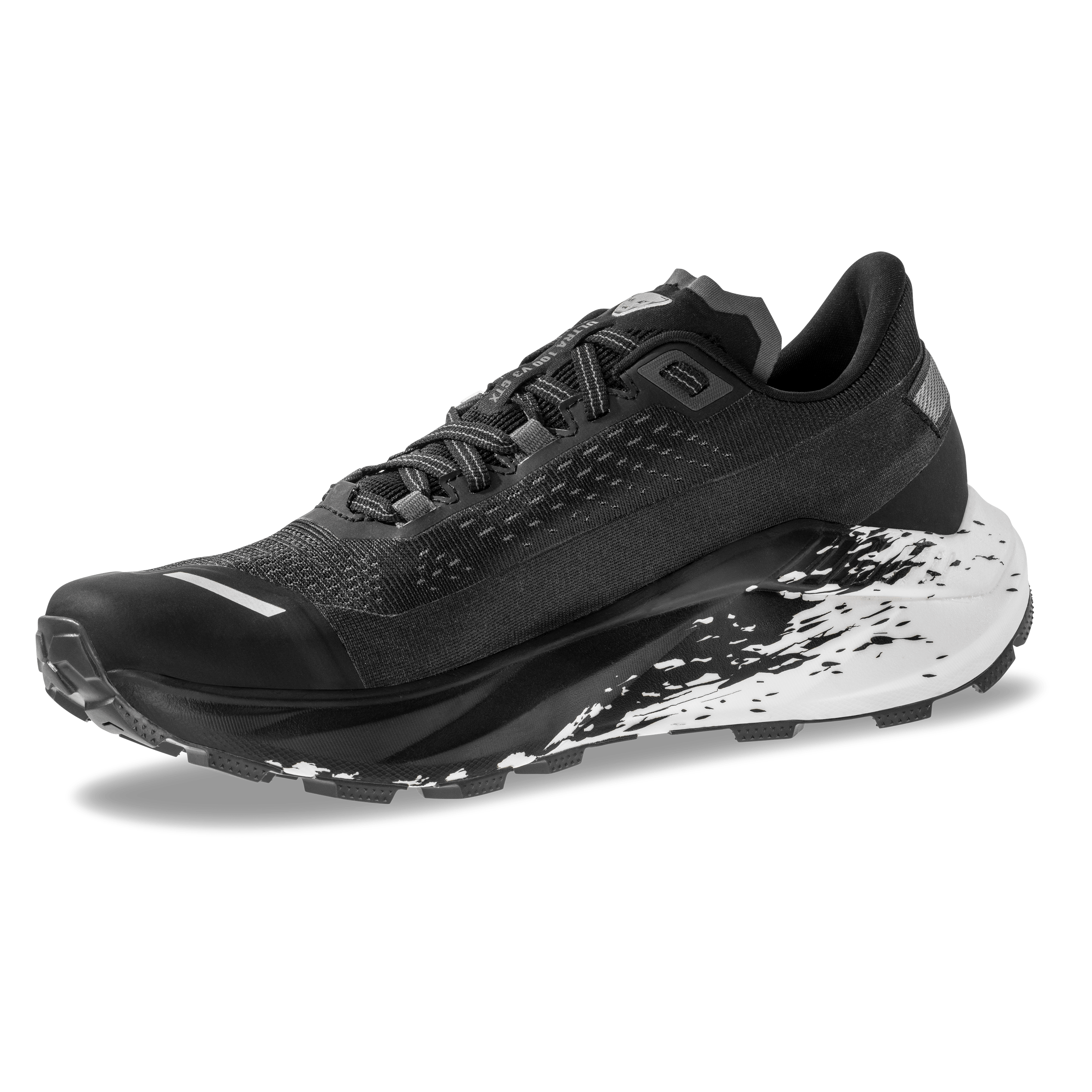 Chaussure running Ultra 100 V3 GTX femmes perspective_view image