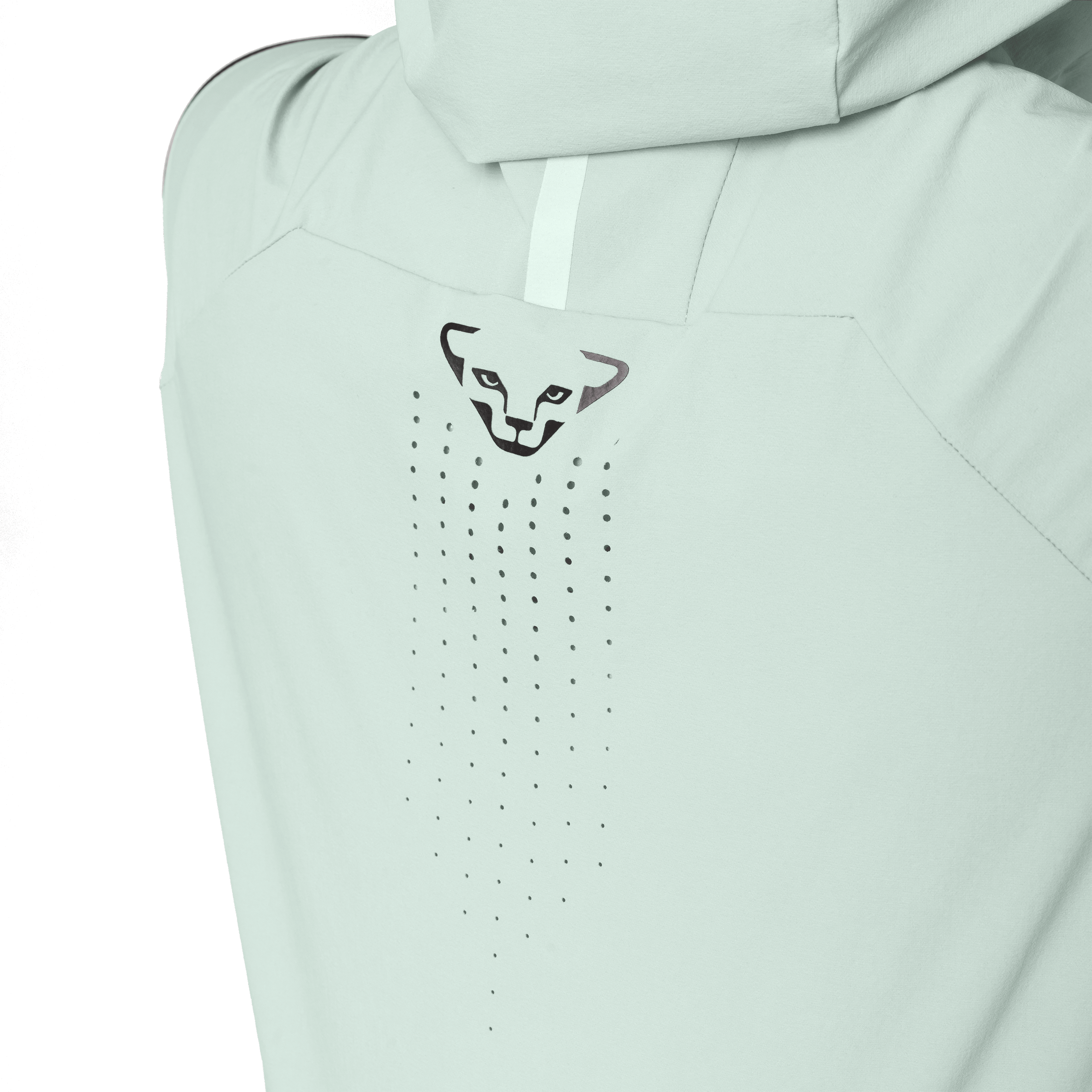 Transalper Dynastretch Vest Women tech_detail image