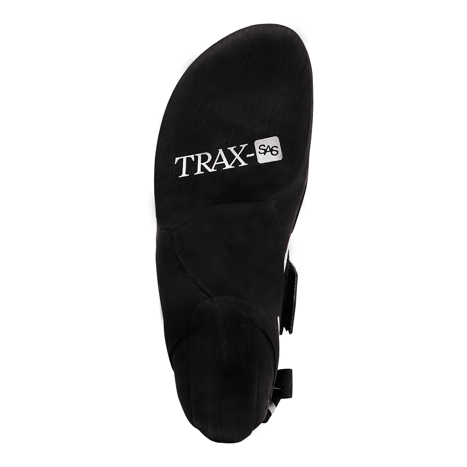 Phantom LV perspective_view image