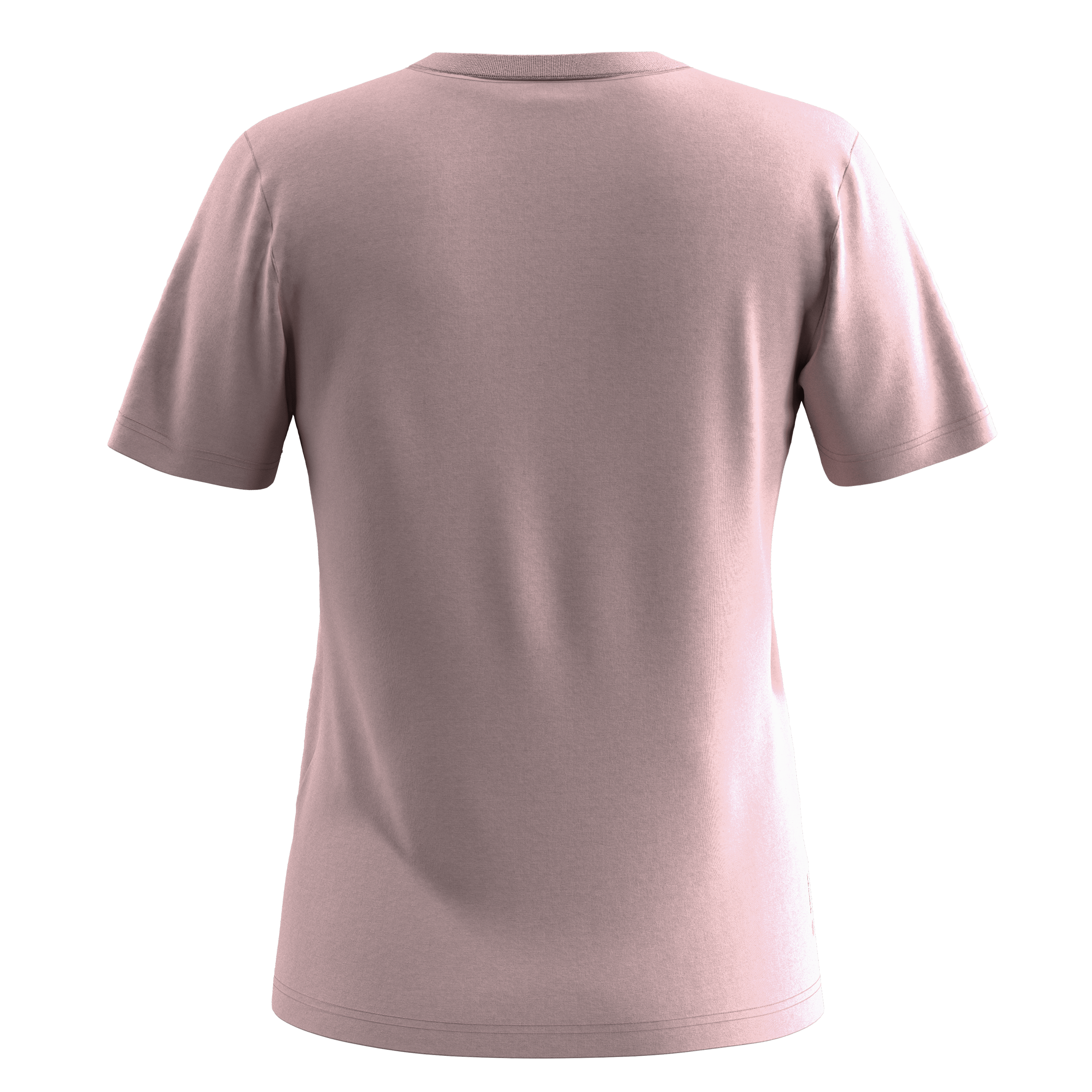 SALEWA Solidlogo Dry'Ton Maglia Maniche Lunghe Uomo