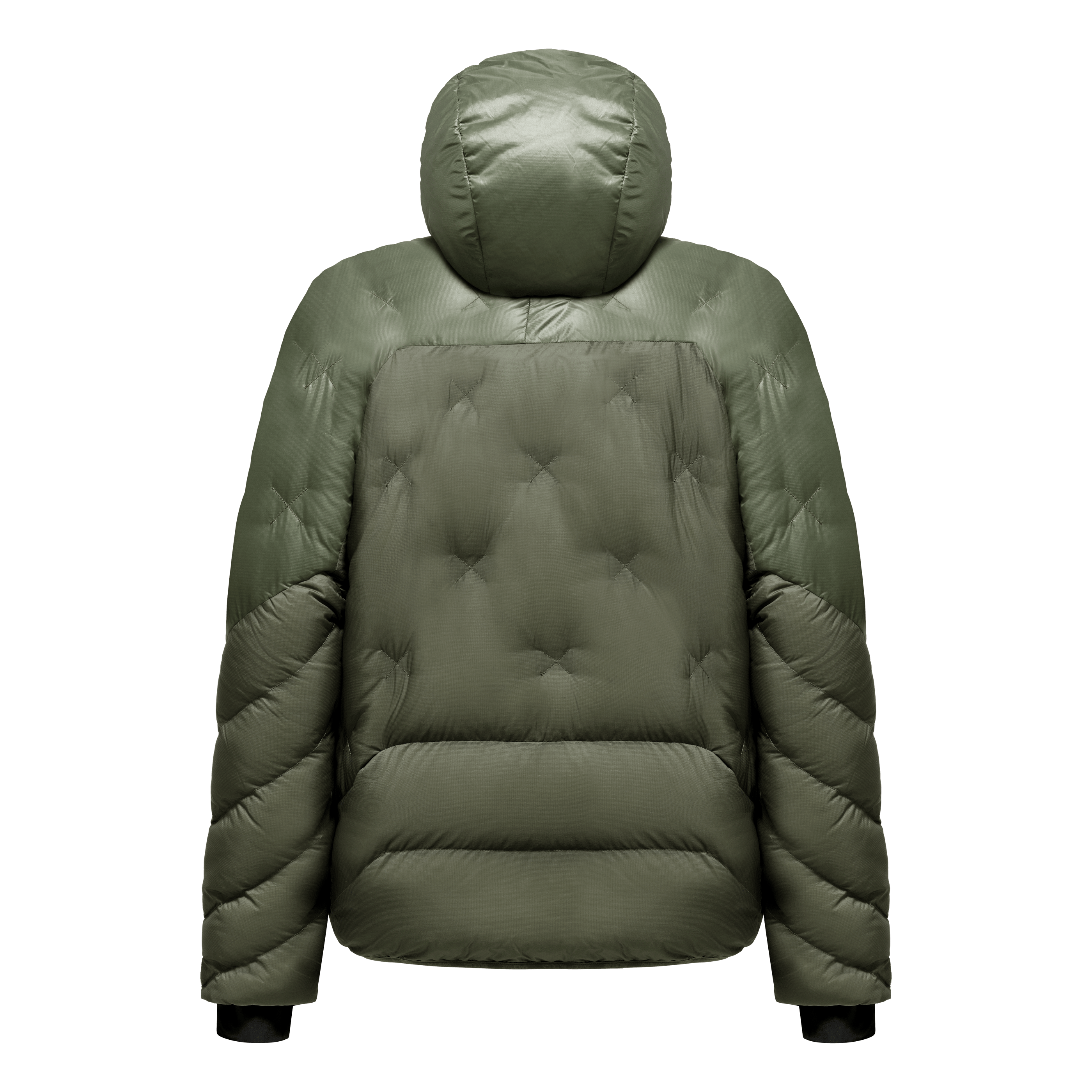 Ortles Heavy RDS Down Pro Giacca Uomo perspective_view image