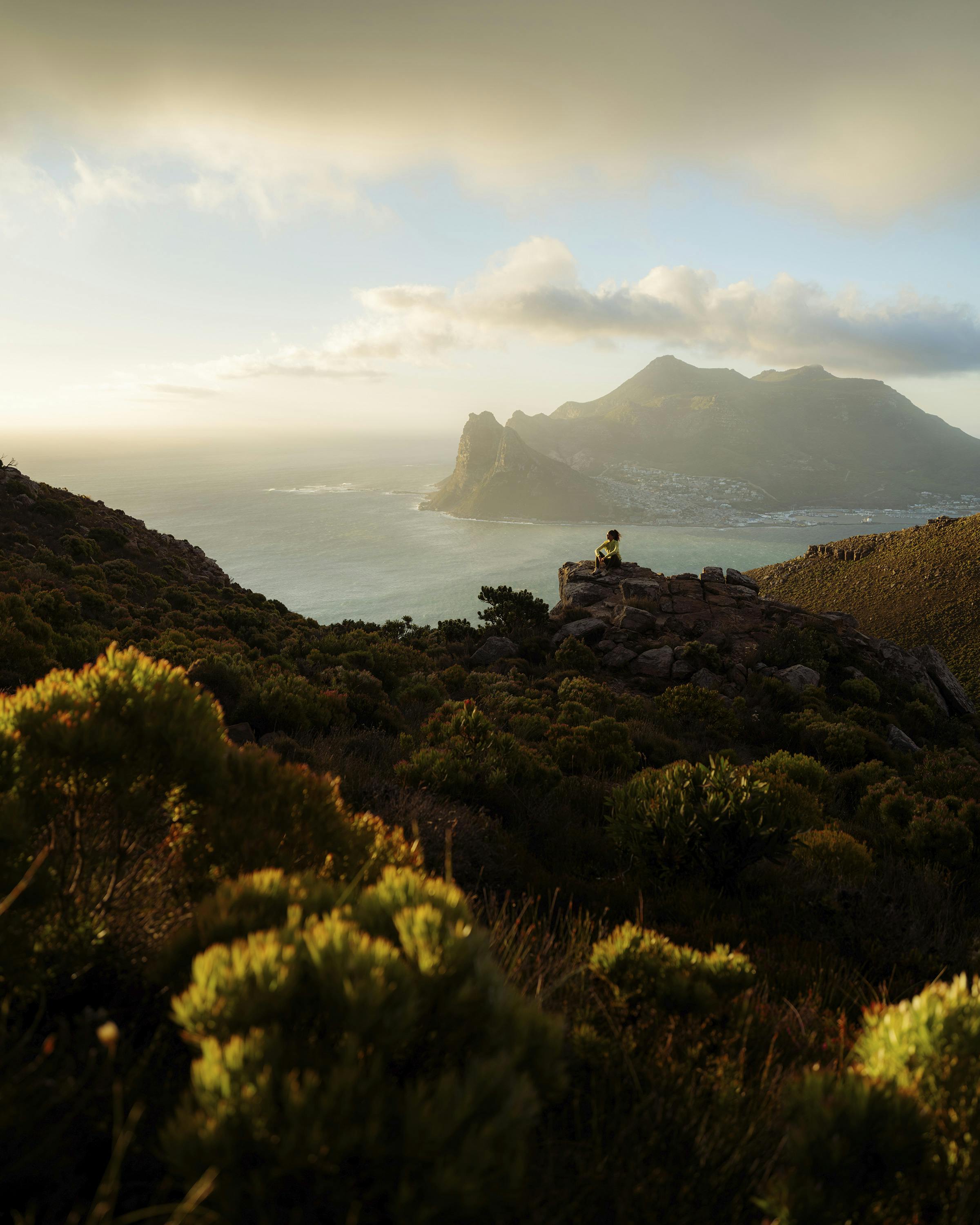 Manuela Windjacke perspective_view image