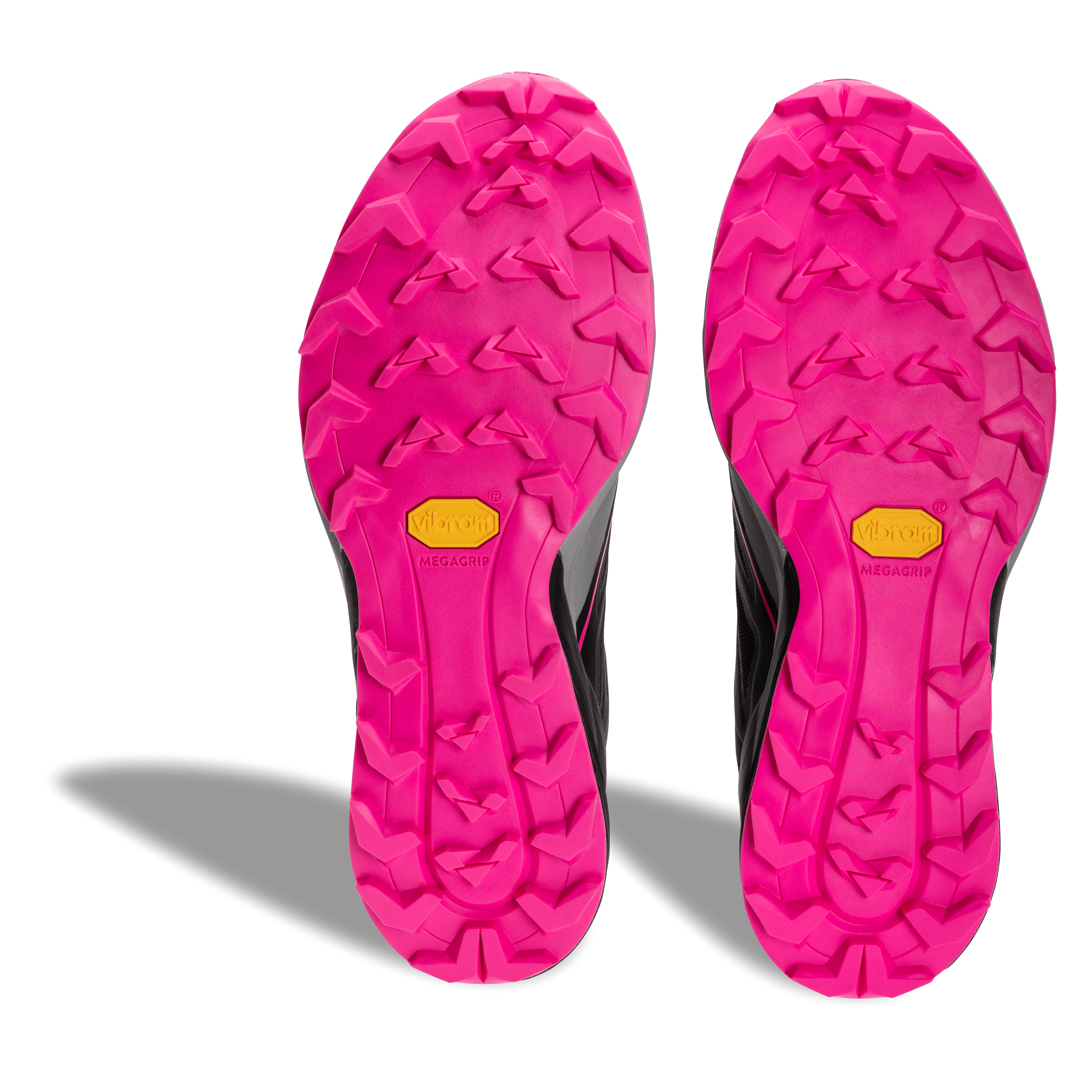Alpine Running Shoe Women | Dynafit® International