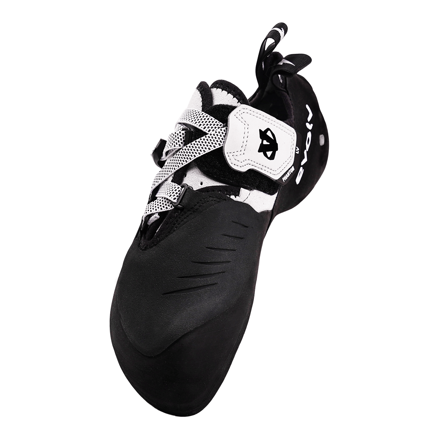 Phantom LV perspective_view image