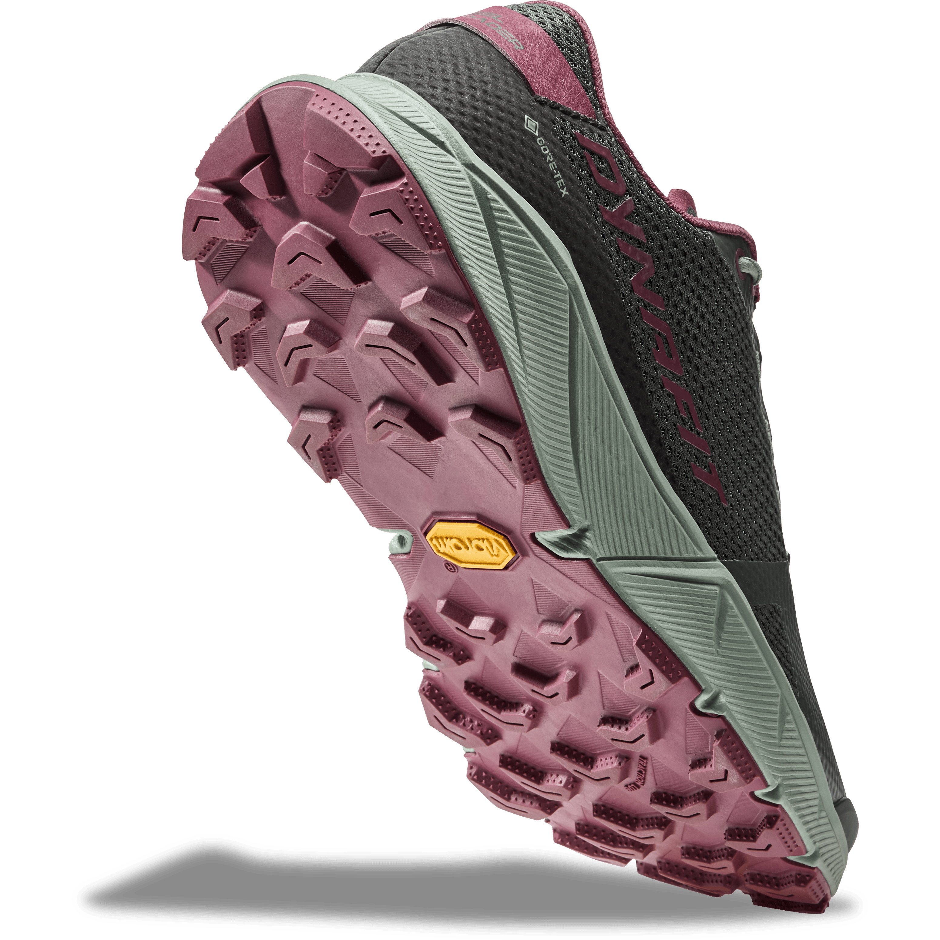 Ultra 100 GORE-TEX® scarpa running donna perspective_view image