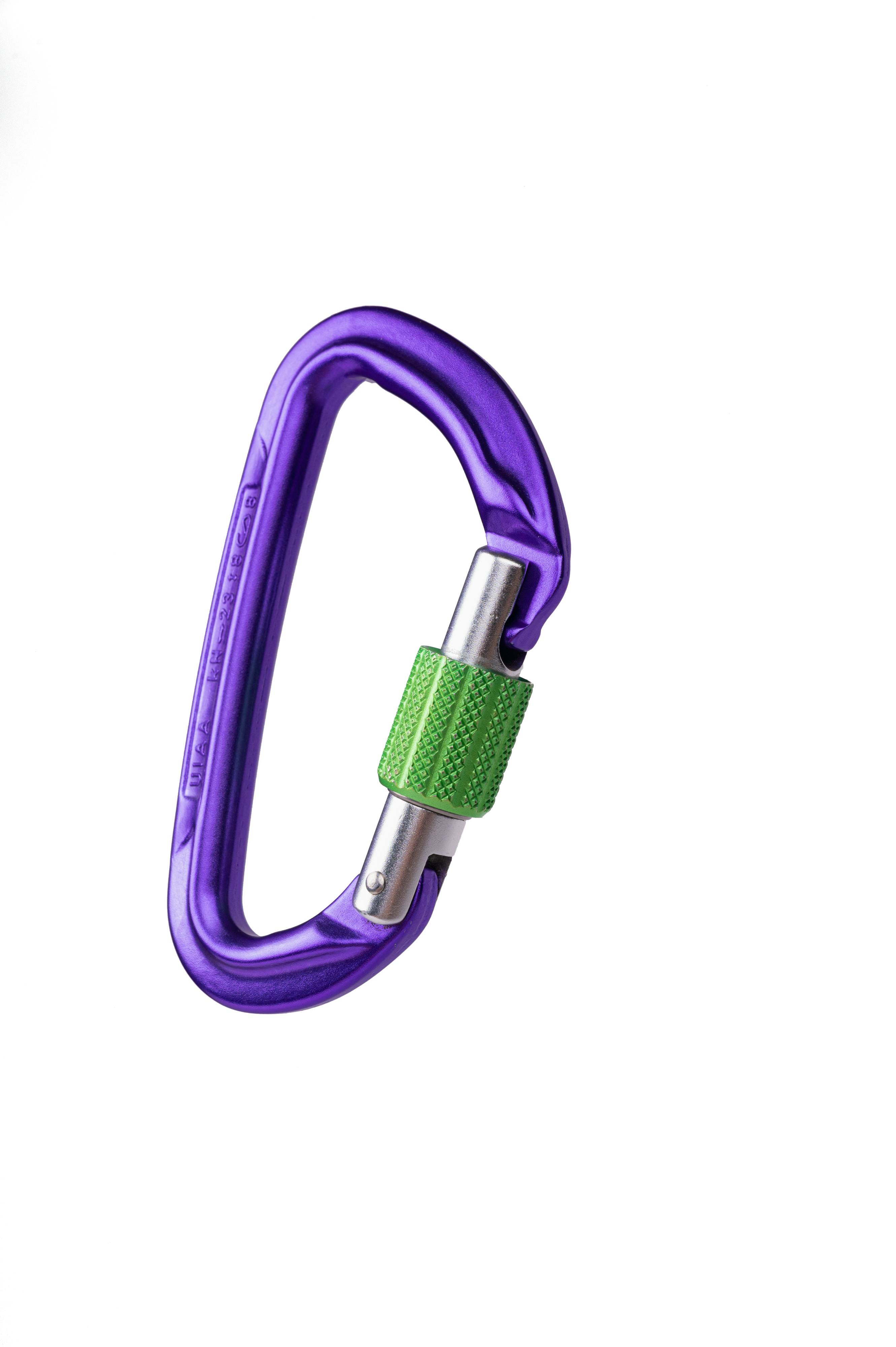 Session Screw Gate Locking Carabiner perspective_view image
