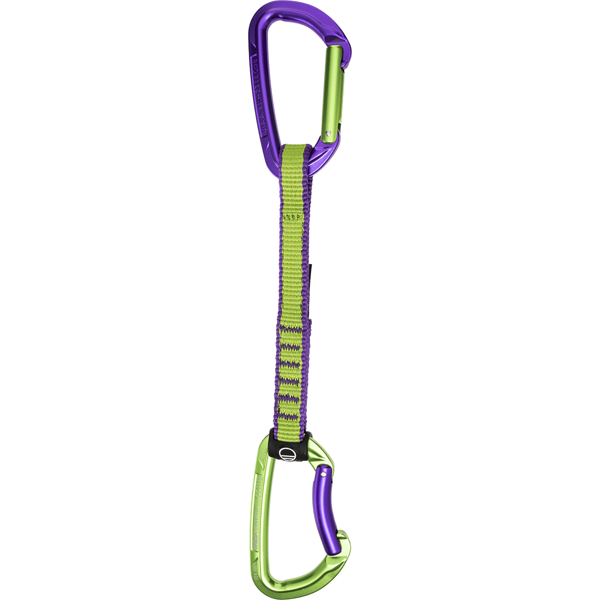 Session Quickdraw  perspective_view image