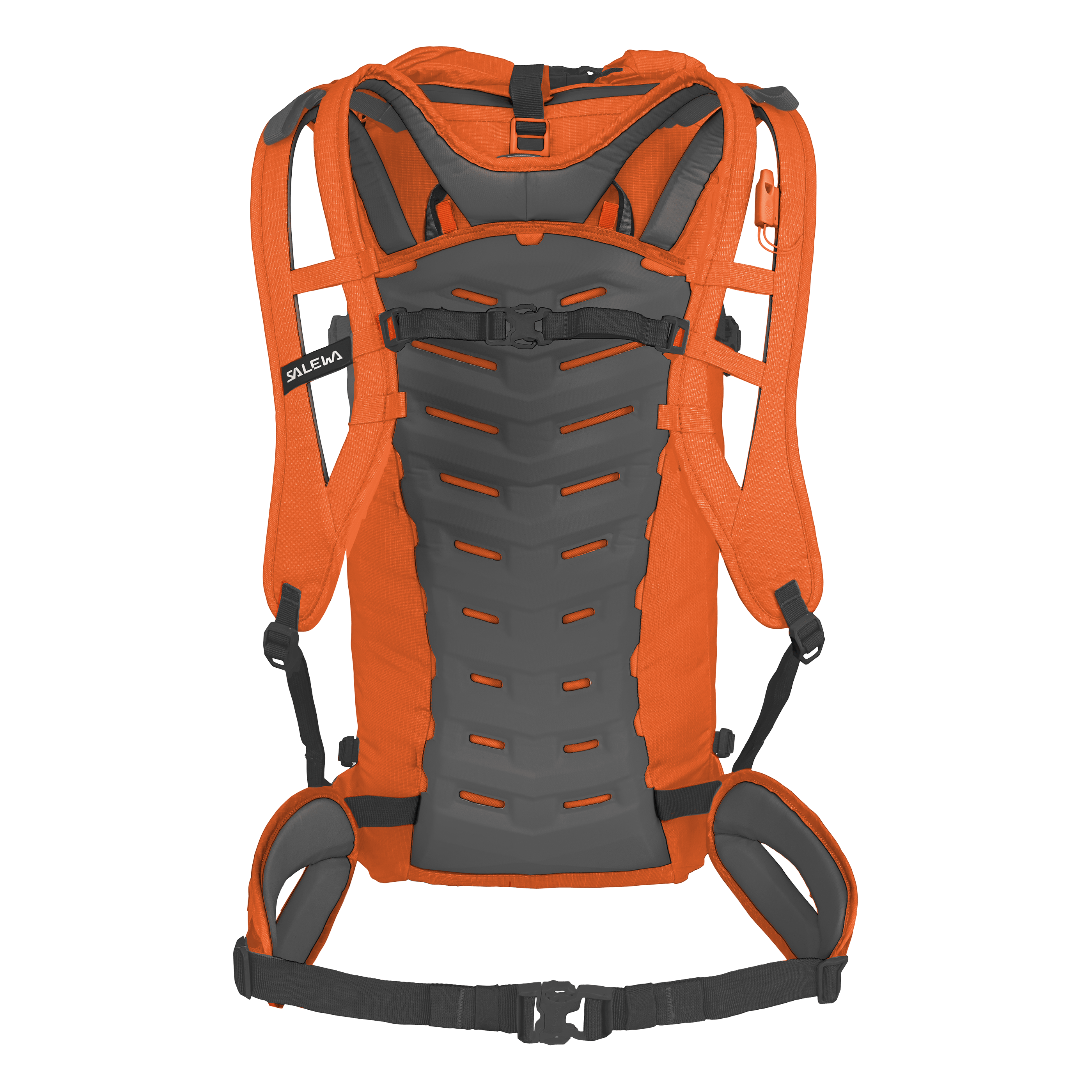 Ortles Wall Zaino 38L  perspective_view image