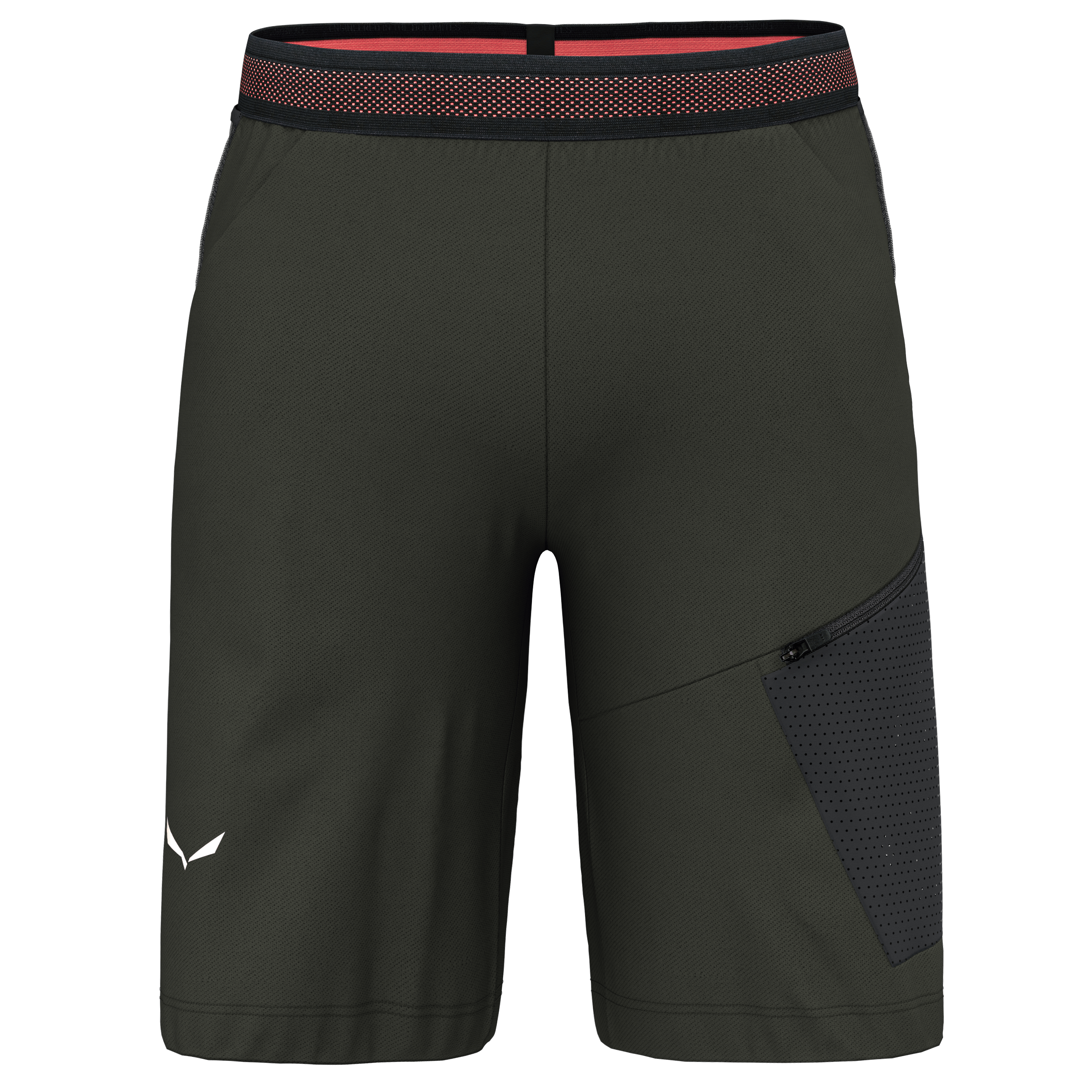 Pedroc 2 Durastretch Cargo Shorts Men | Salewa® UK