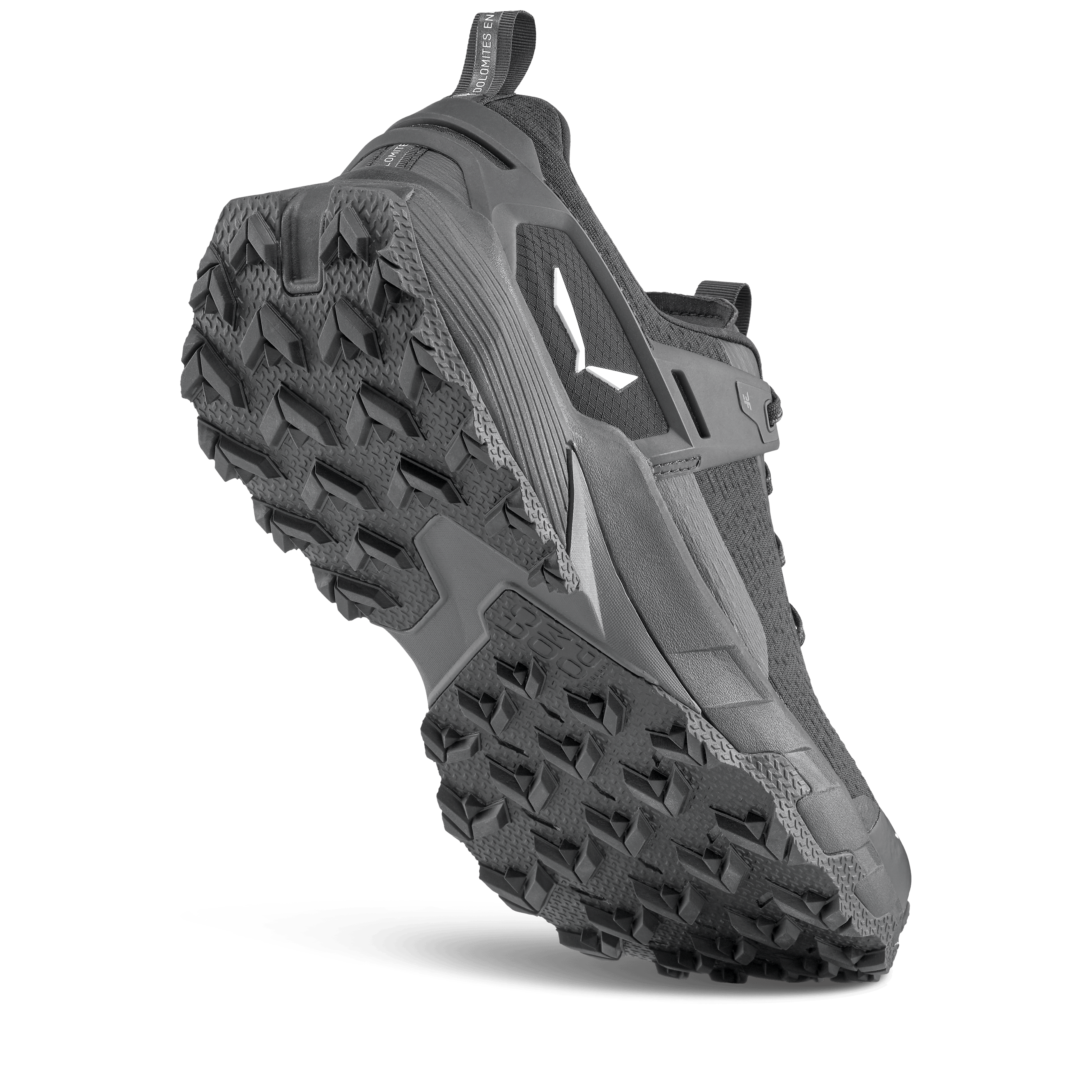 Pedroc 2 Schuh Herren perspective_view image