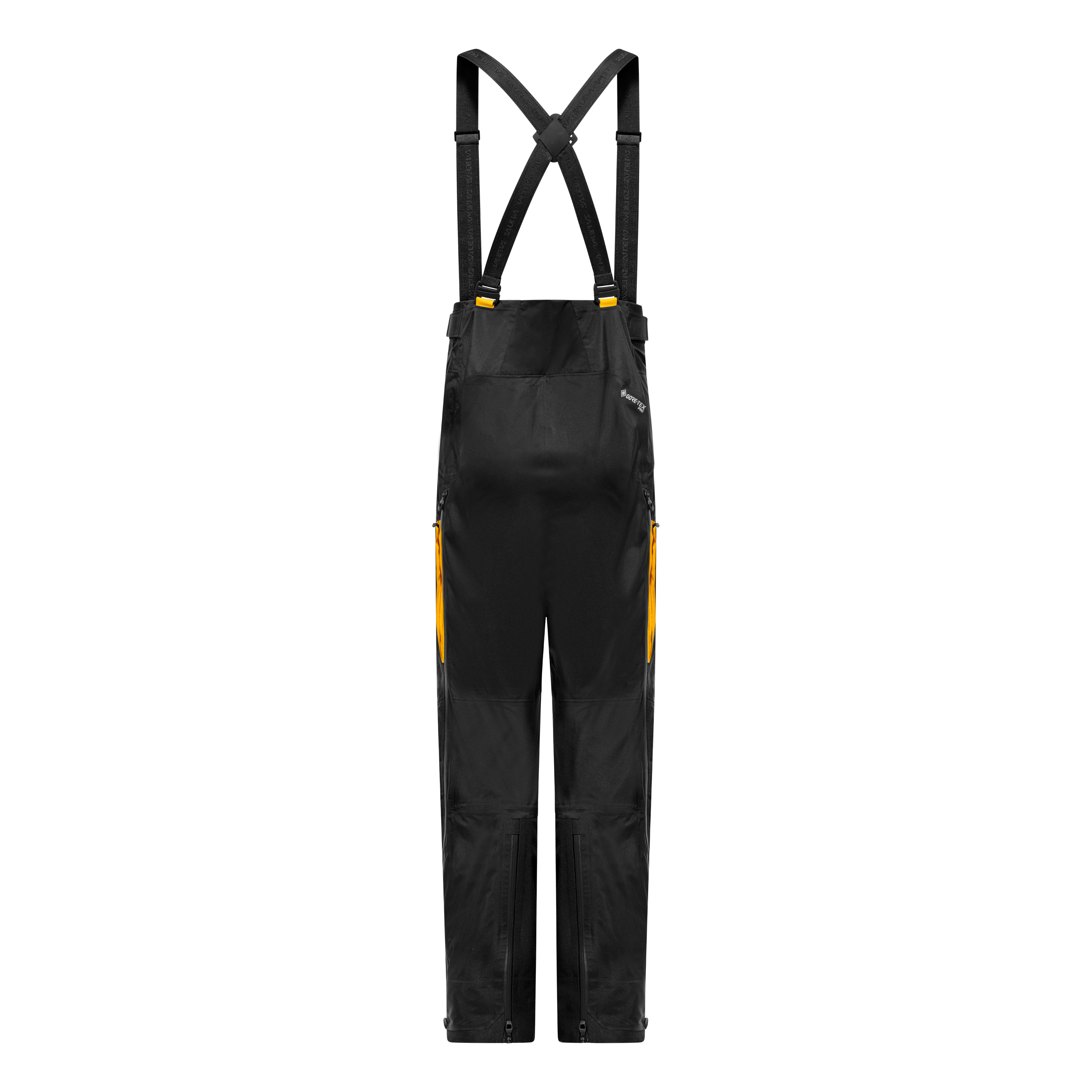Ortles GORETEX® Pro Pantaloni Uomo perspective_view image