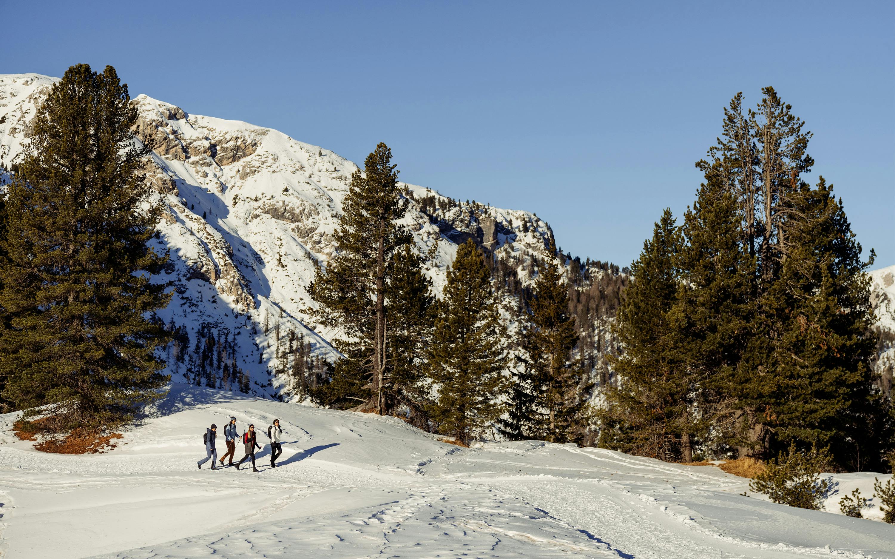 Michelle Pants Regular horizontal image