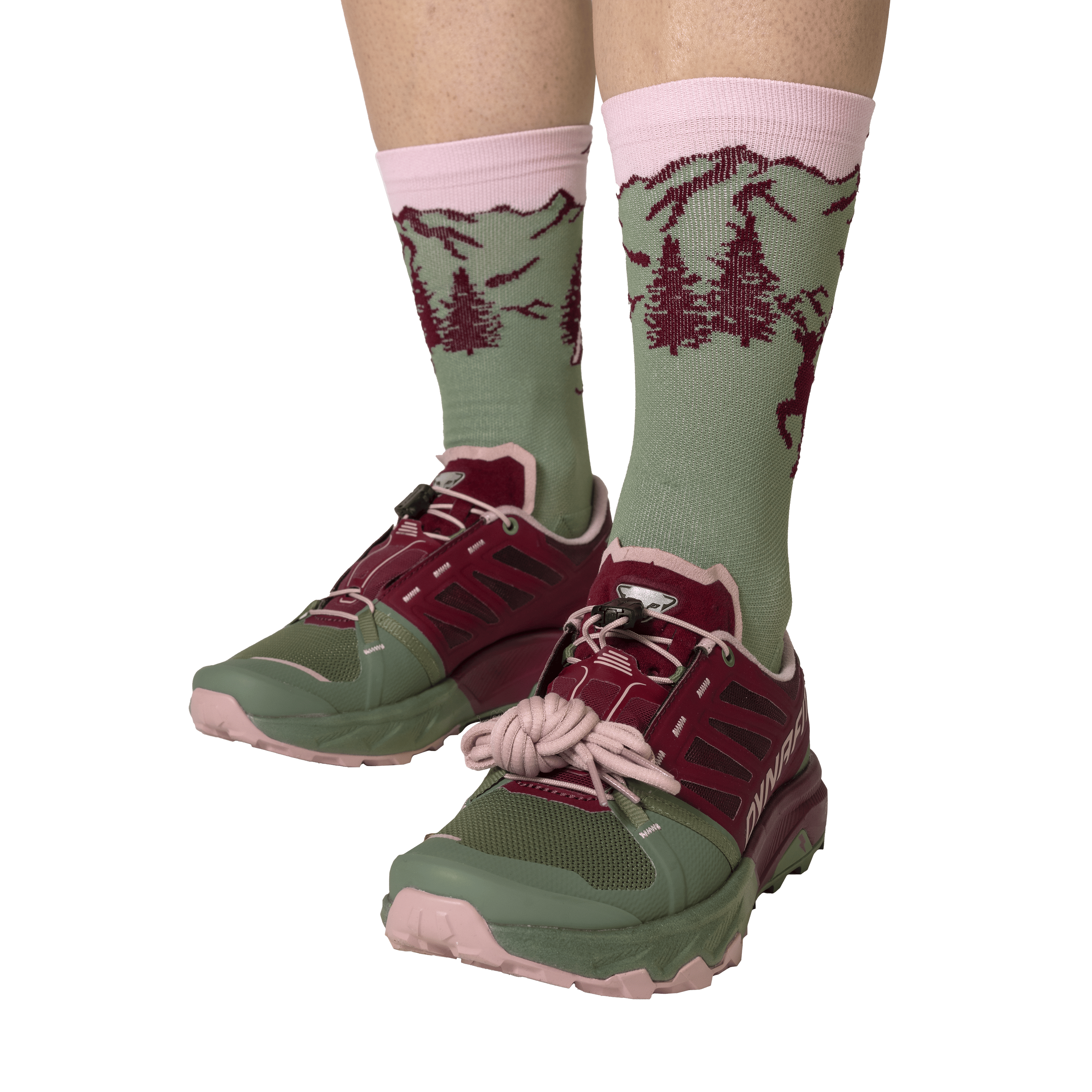 Alpine Pro 2 Laufschuh Damen on_body image