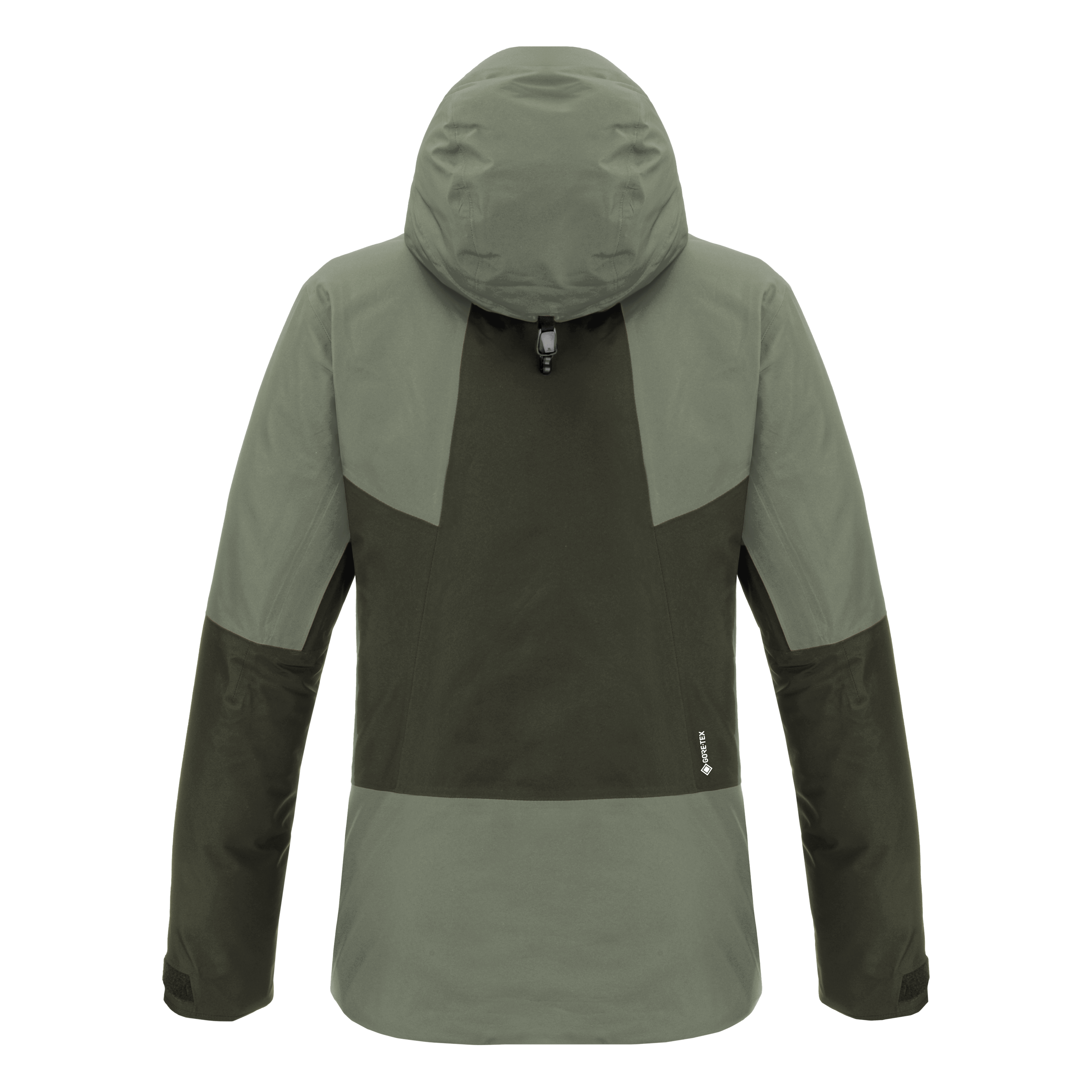 Puez 2L Gore-Tex® Veste Femme perspective_view image