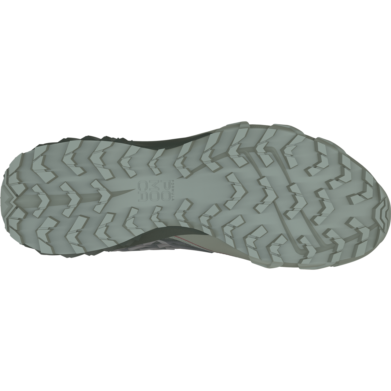 Feline SL GTX Running Shoe Women