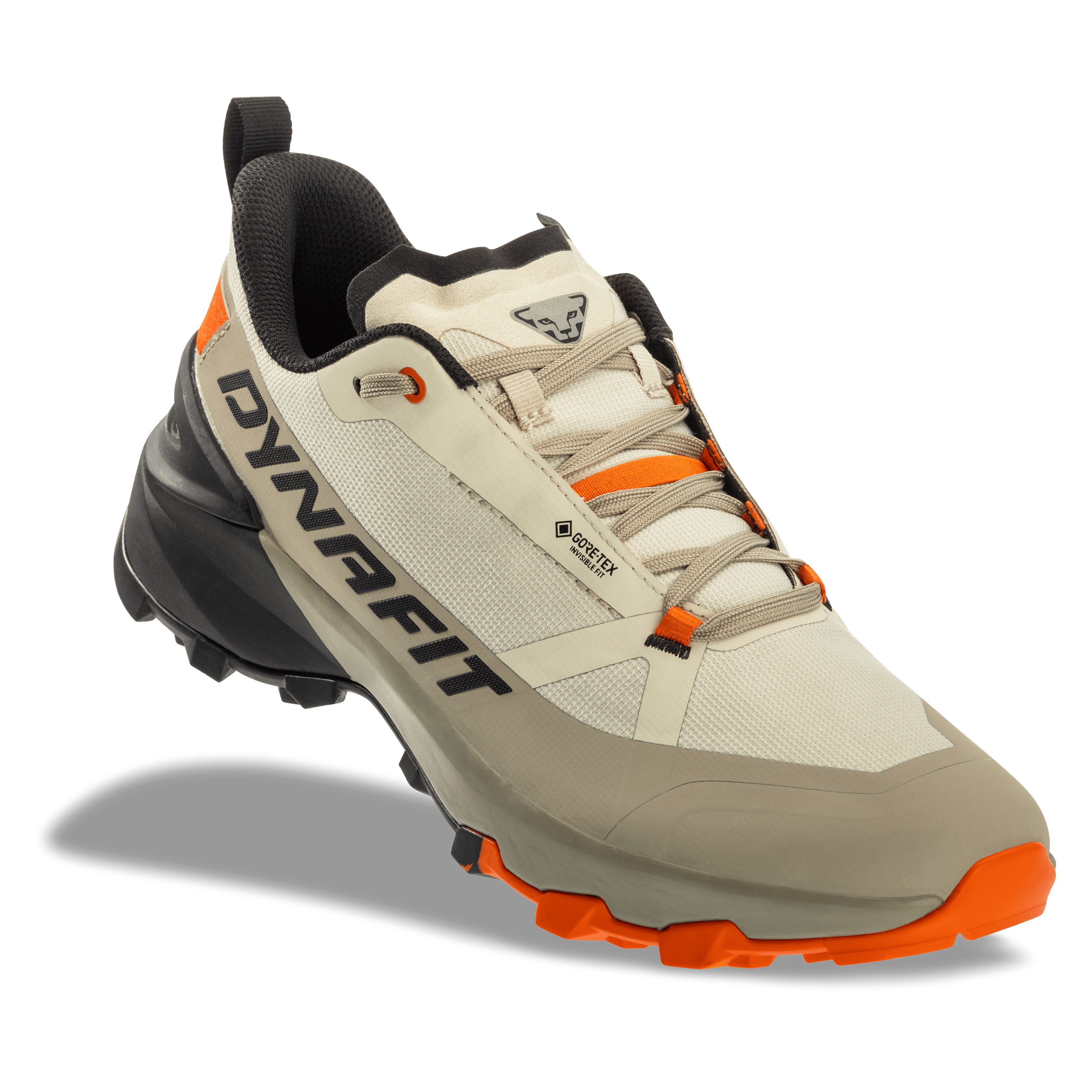 Transalper 2 GTX Mountaineering Schuh Herren perspective_view image
