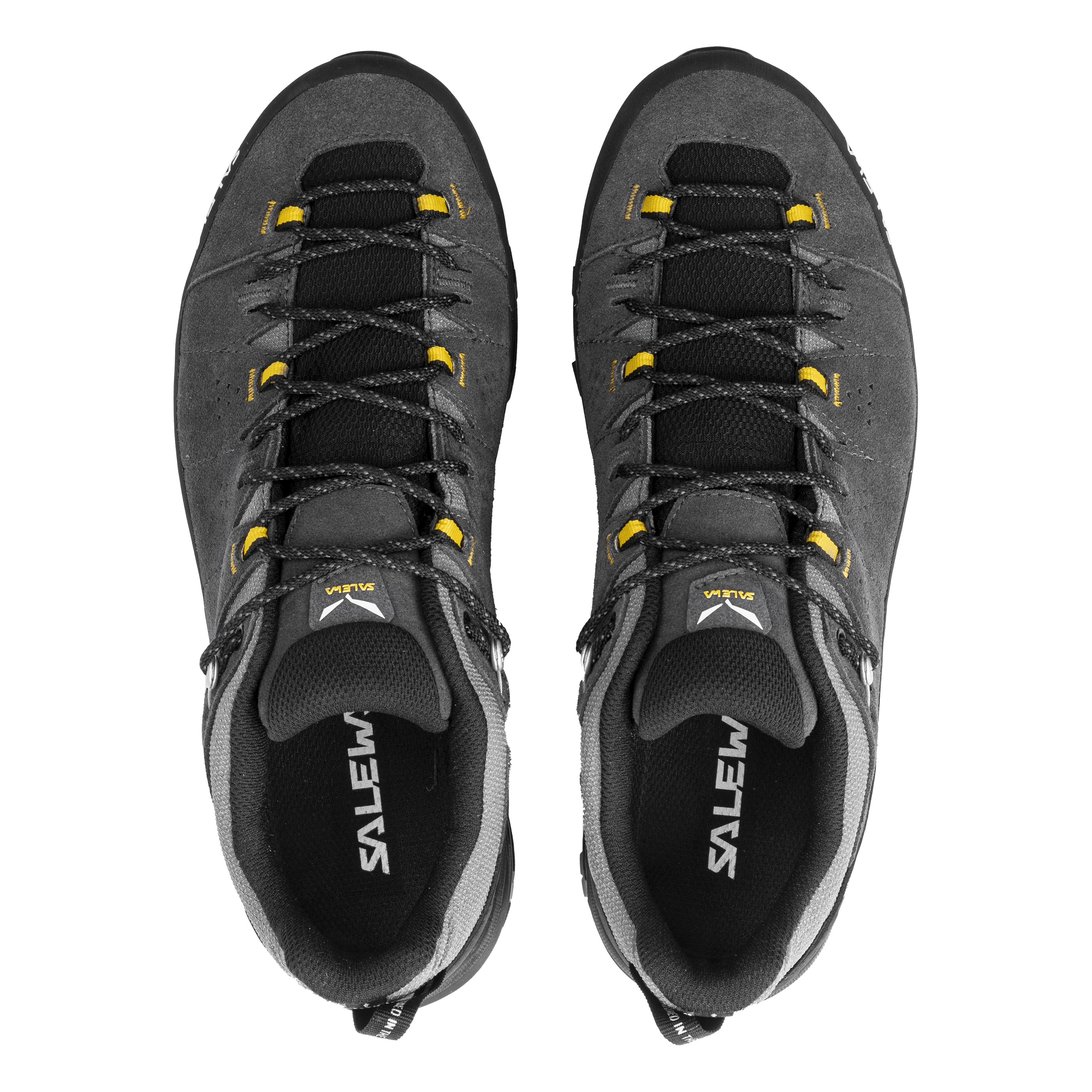 Alp Trainer 2 Gore-Tex® Shoe Men perspective_view image