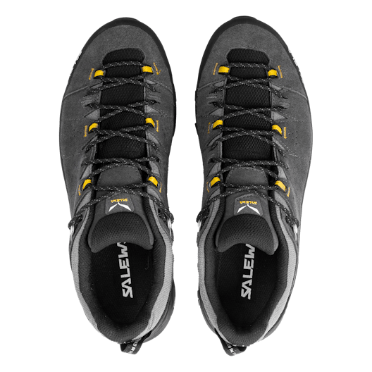 Alp Trainer 2 Gore-Tex® Shoe Men perspective_view image