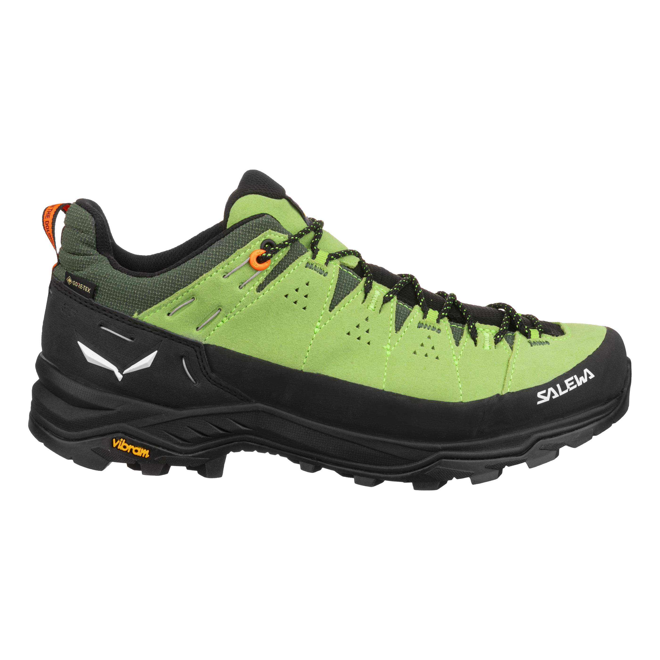 Alp Trainer 2 Gore-Tex® Men's Shoe | Salewa® USA