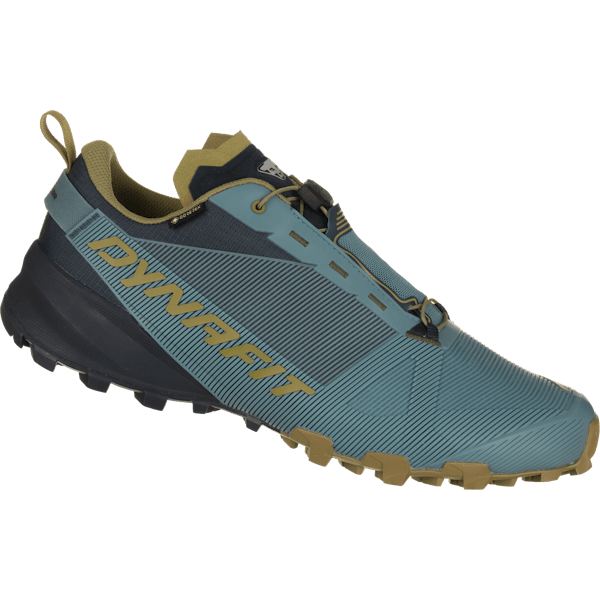 Traverse GTX Running Shoes Men
