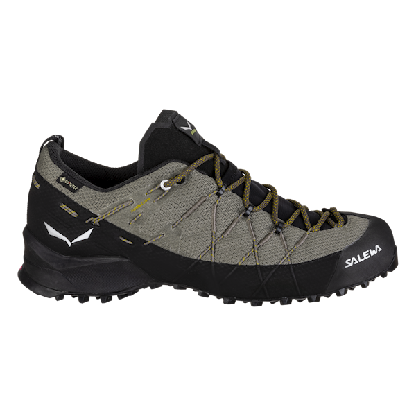 Wildfire 2 Gore-Tex® Shoe Men