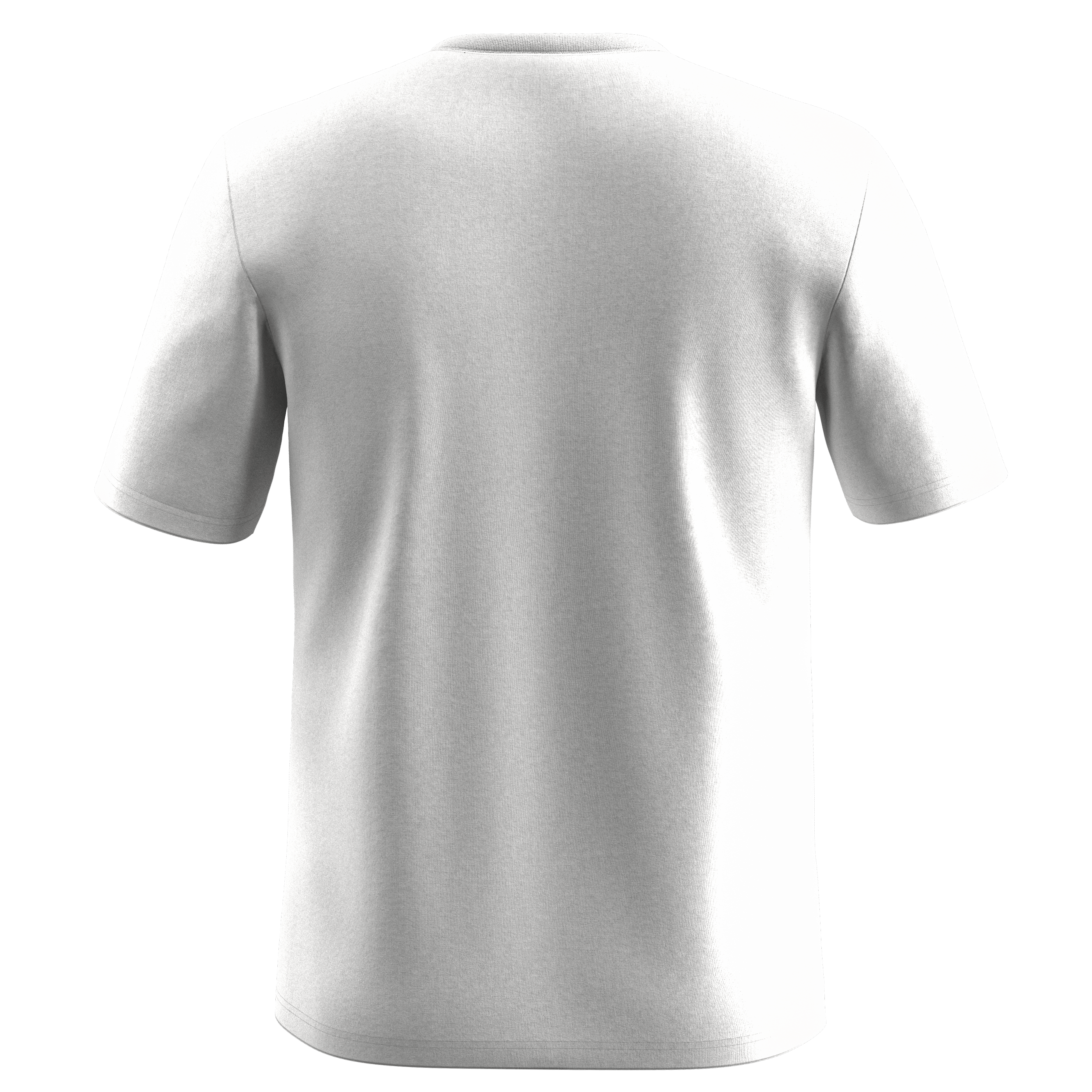 Eagle Cover T-Shirt Herren perspective_view image