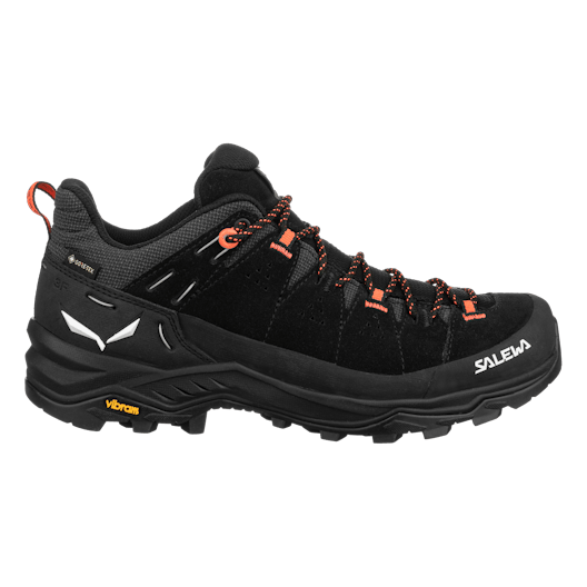 Alp Trainer 2 Gore-Tex® Zapatilla Mujer perspective_view image
