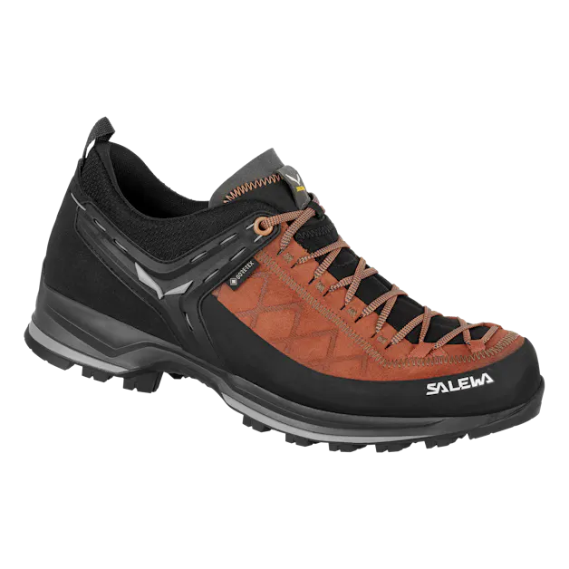 Mountain Trainer 2 GORE-TEX® Men's Shoes still image