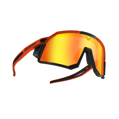 Sky Evo Sunglasses Unisex still image