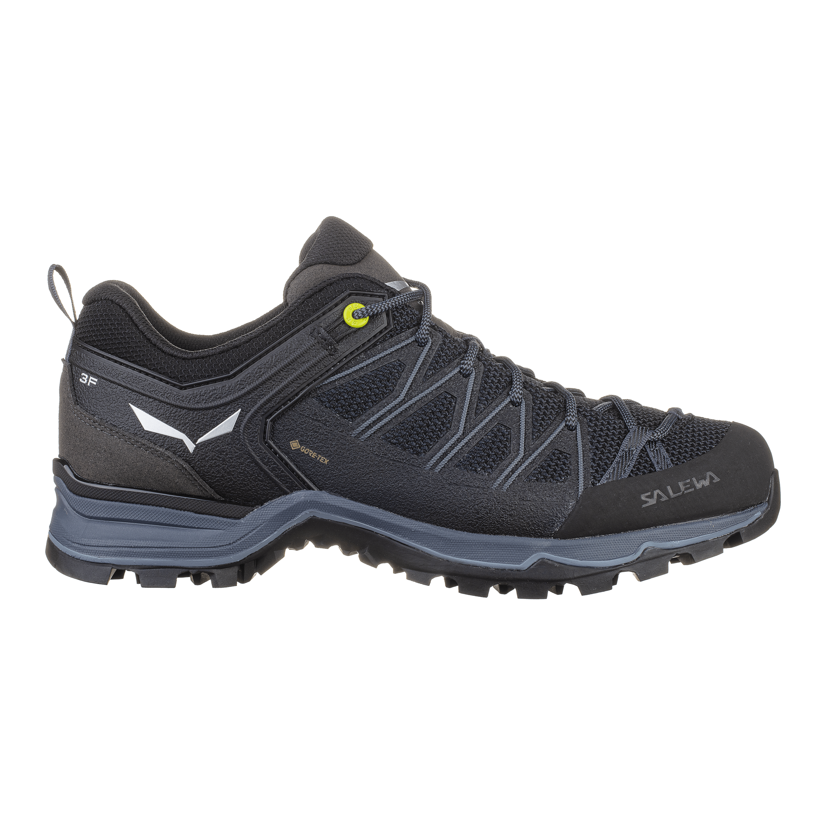 Mountain Trainer Lite GORE-TEX® Herrenschuhe perspective_view image