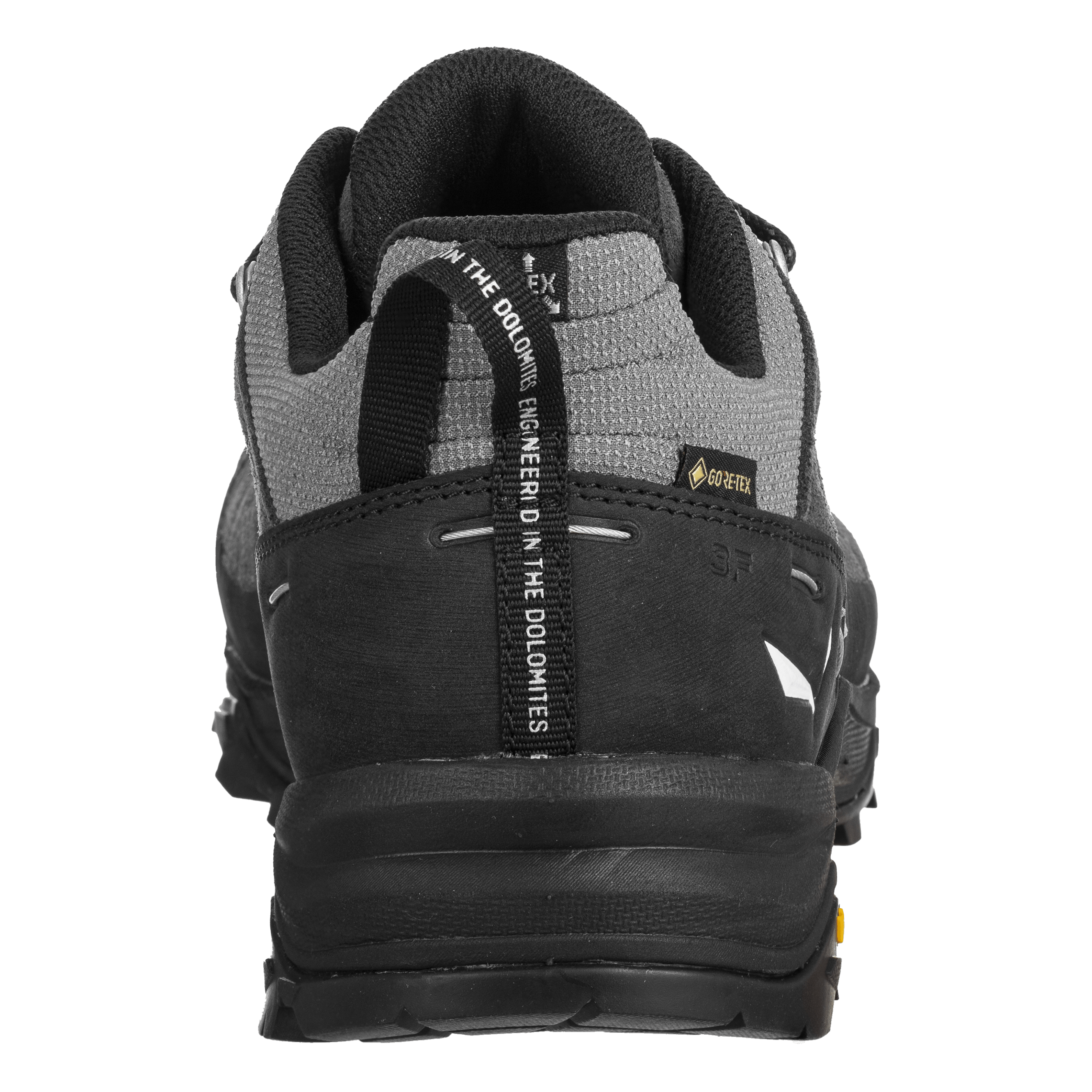 Alp Trainer 2 Gore-Tex® Shoe Men perspective_view image