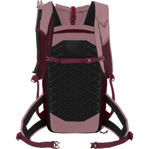 Radical 30+ Backpack Women | Dynafit® UK