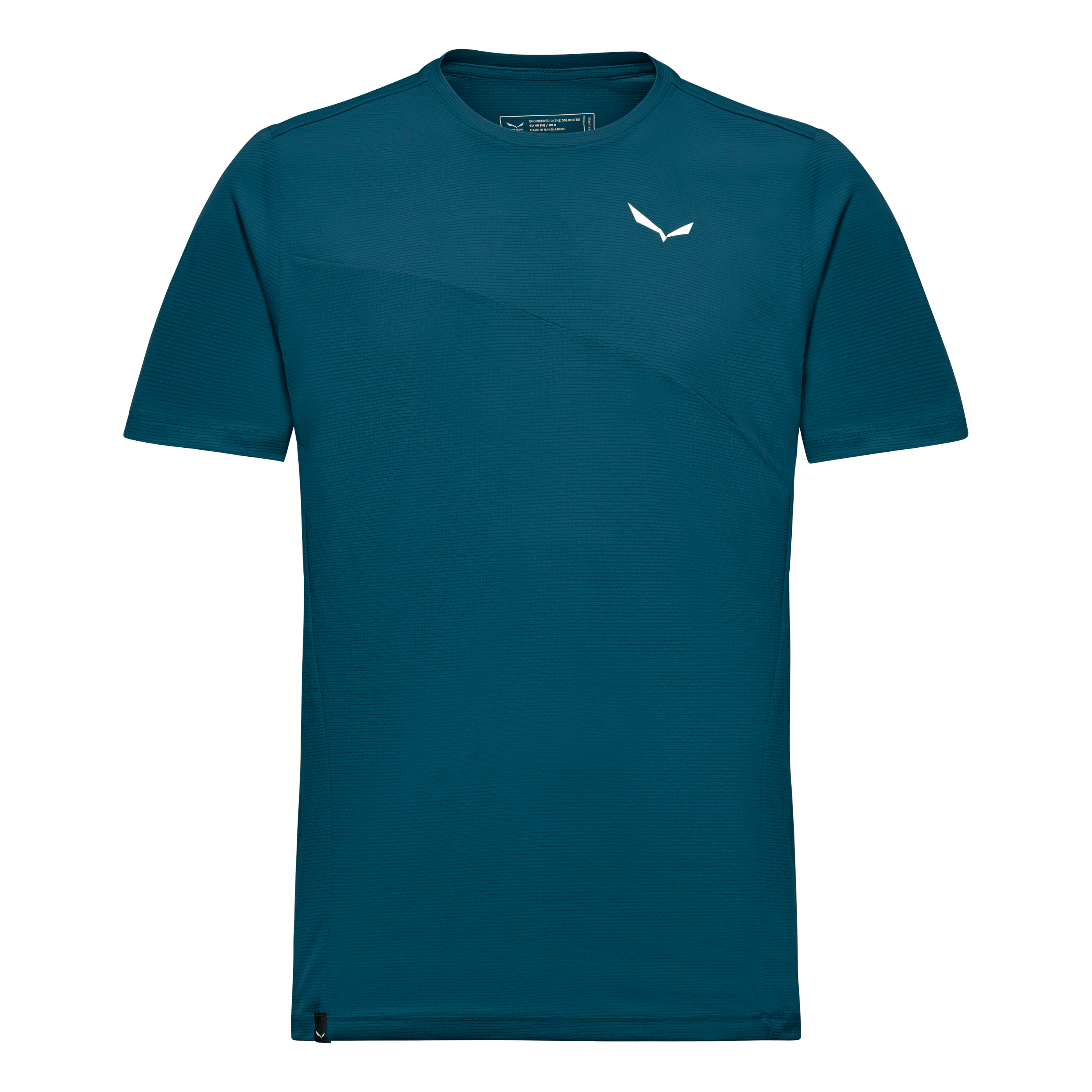 T-shirt Homme SALEWA Dryton Pure Mountain – Gris, Taille L, Logo Unicolore (occasion)