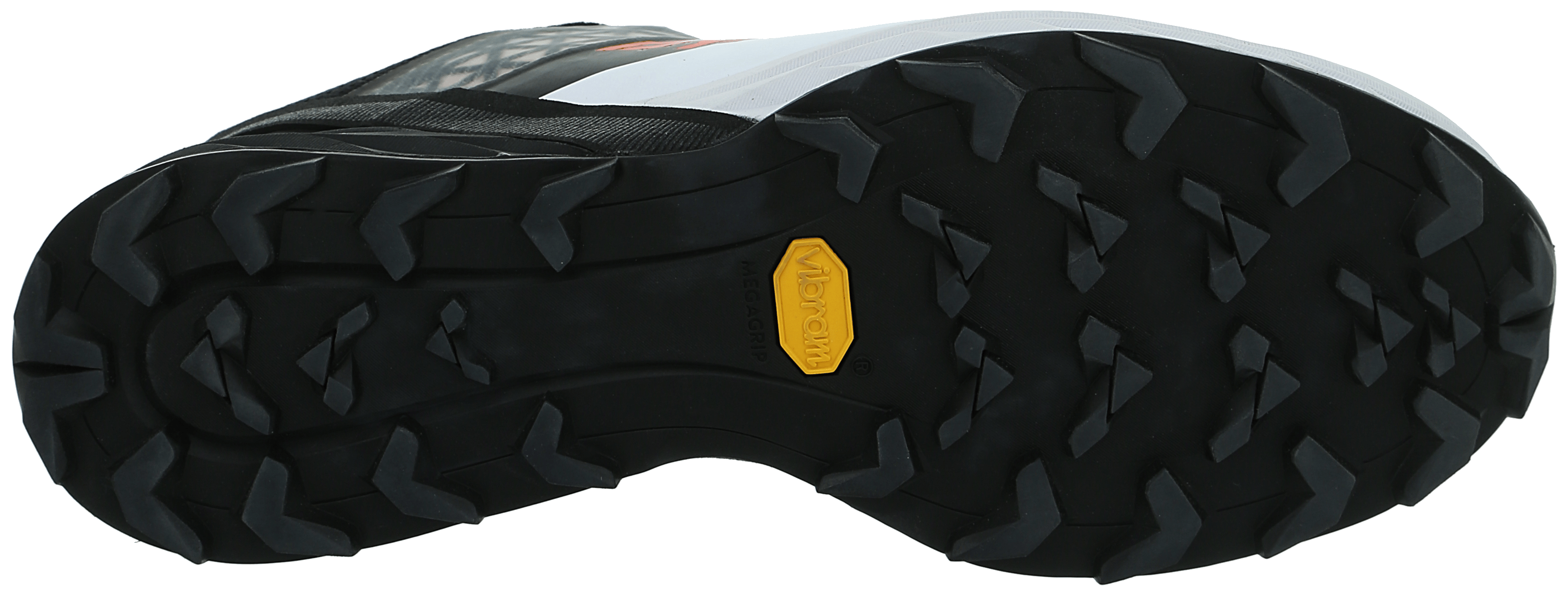 Alpine DNA Running Shoe Men tech_detail image