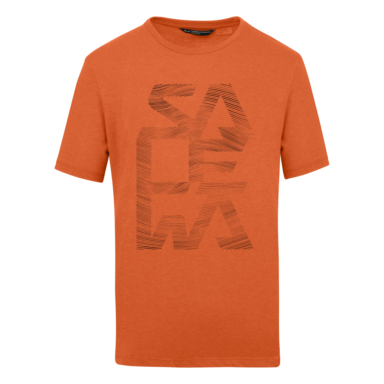 Salewa Print Dry Men's T-Shirt