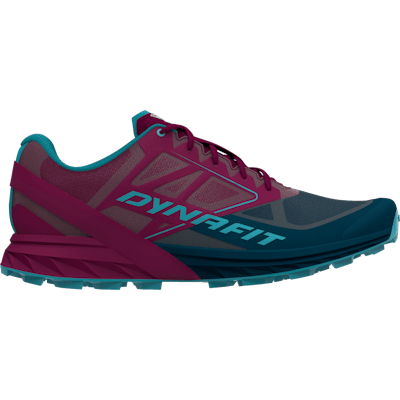 Alpine Laufschuh Herren still image