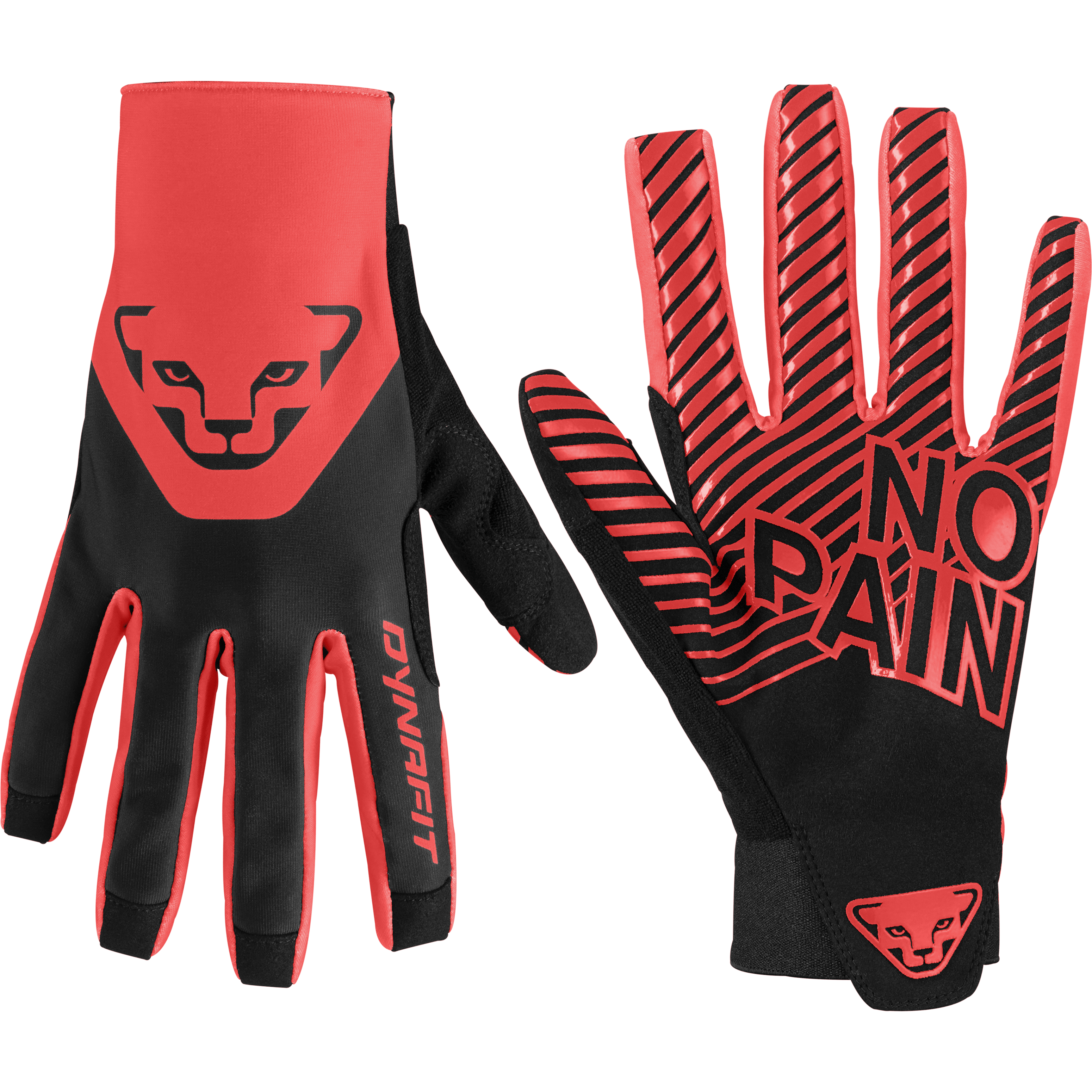 DNA guanti still image