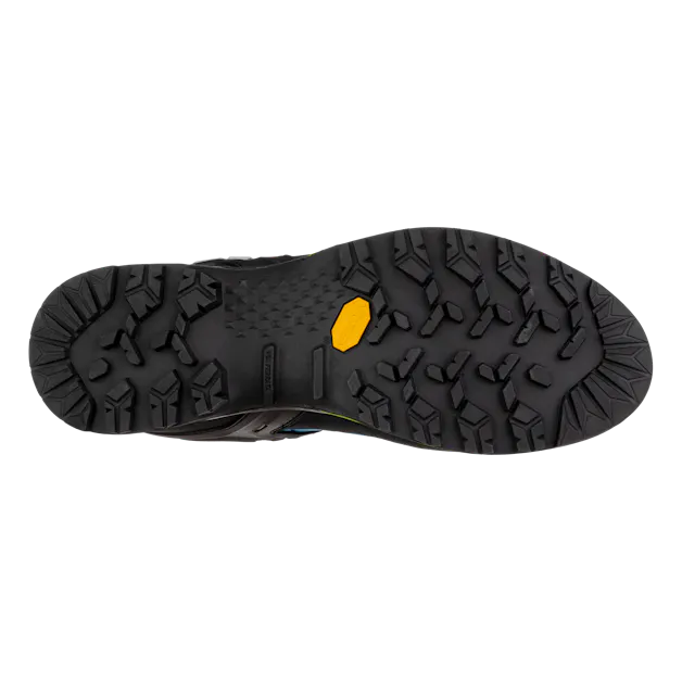 Mountain Trainer 2 GORE-TEX® Herrenschuhe perspective_view image