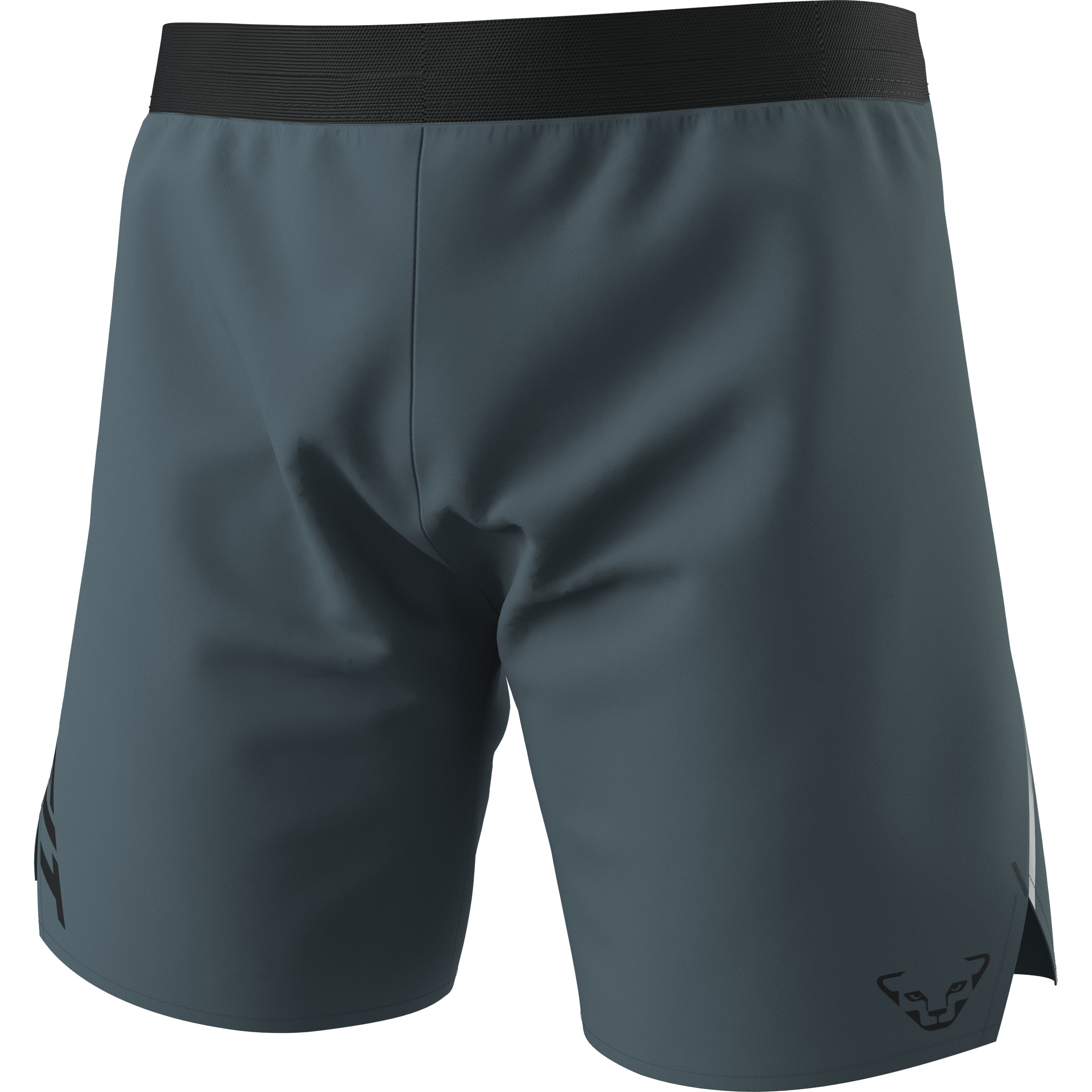 Alpine Shorts Men still image