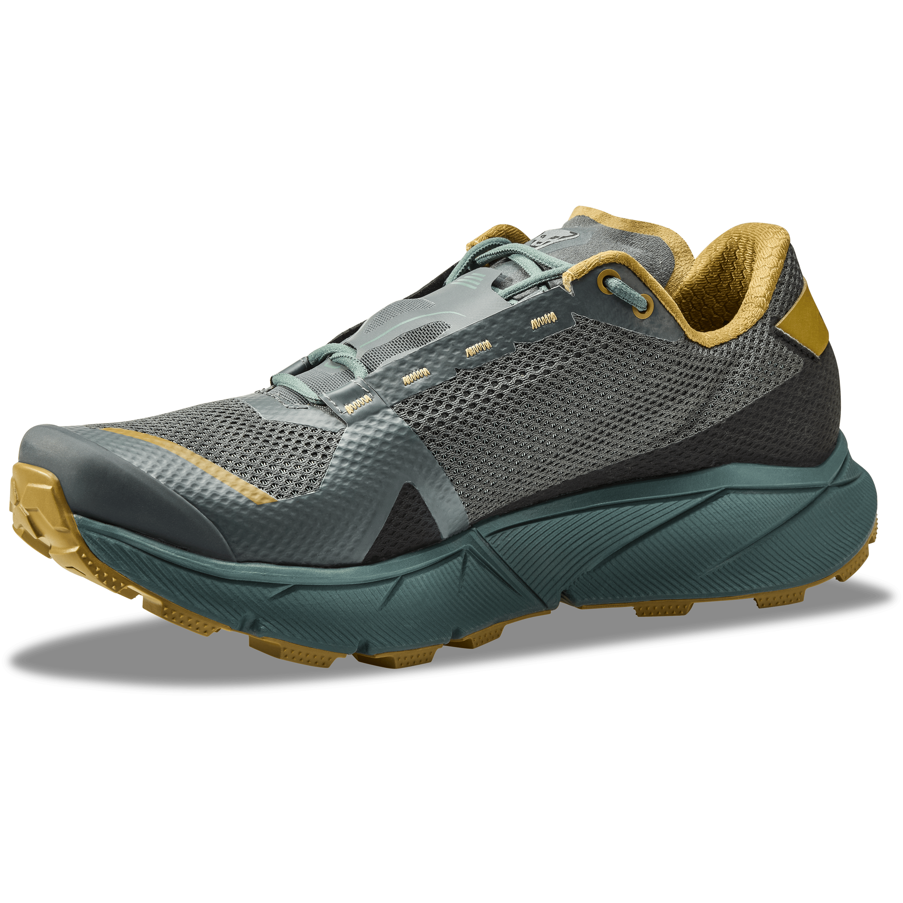 Ultra 100 GORE-TEX® Laufschuh Herren perspective_view image