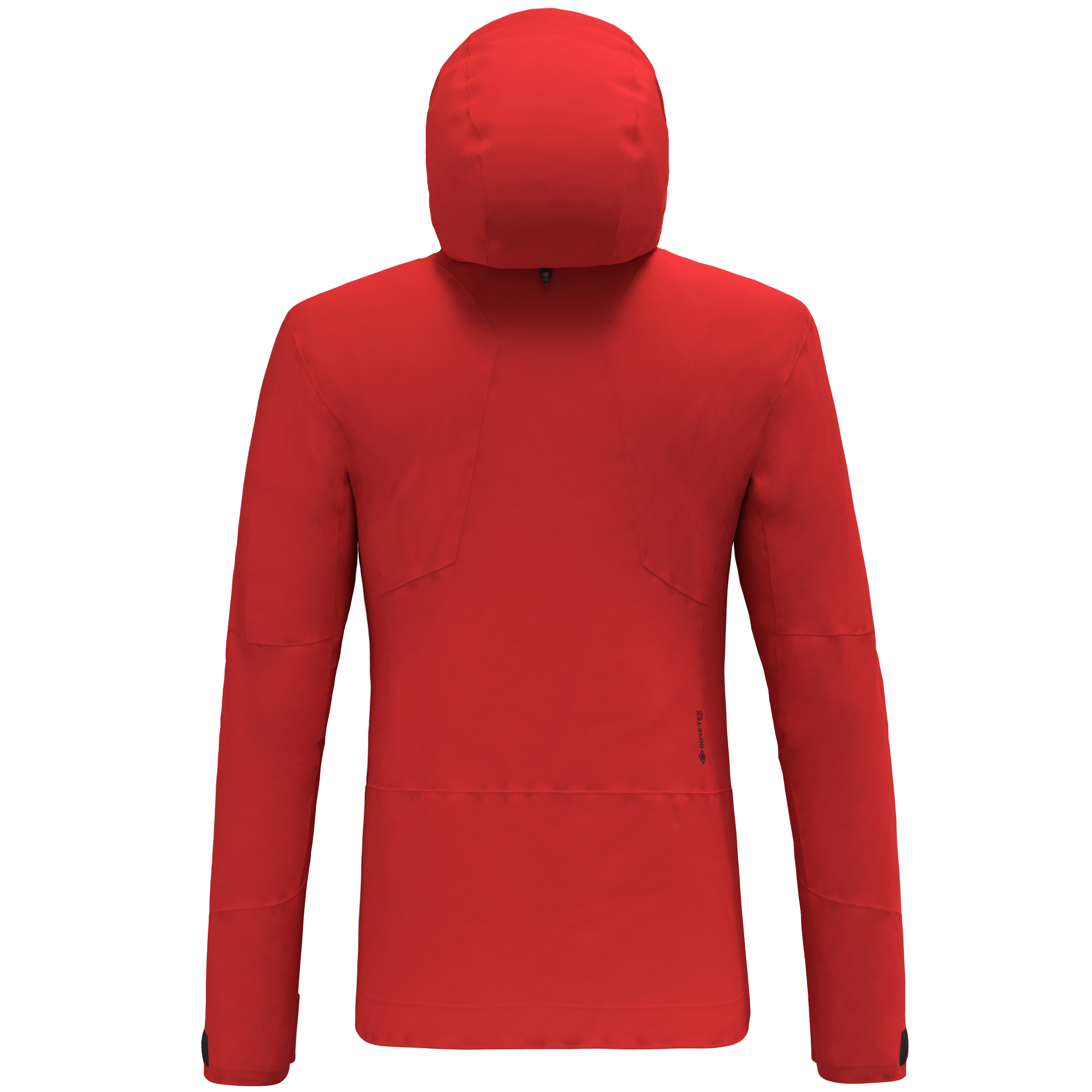 Ortles Gore-Tex® Pro Veste Homme perspective_view image