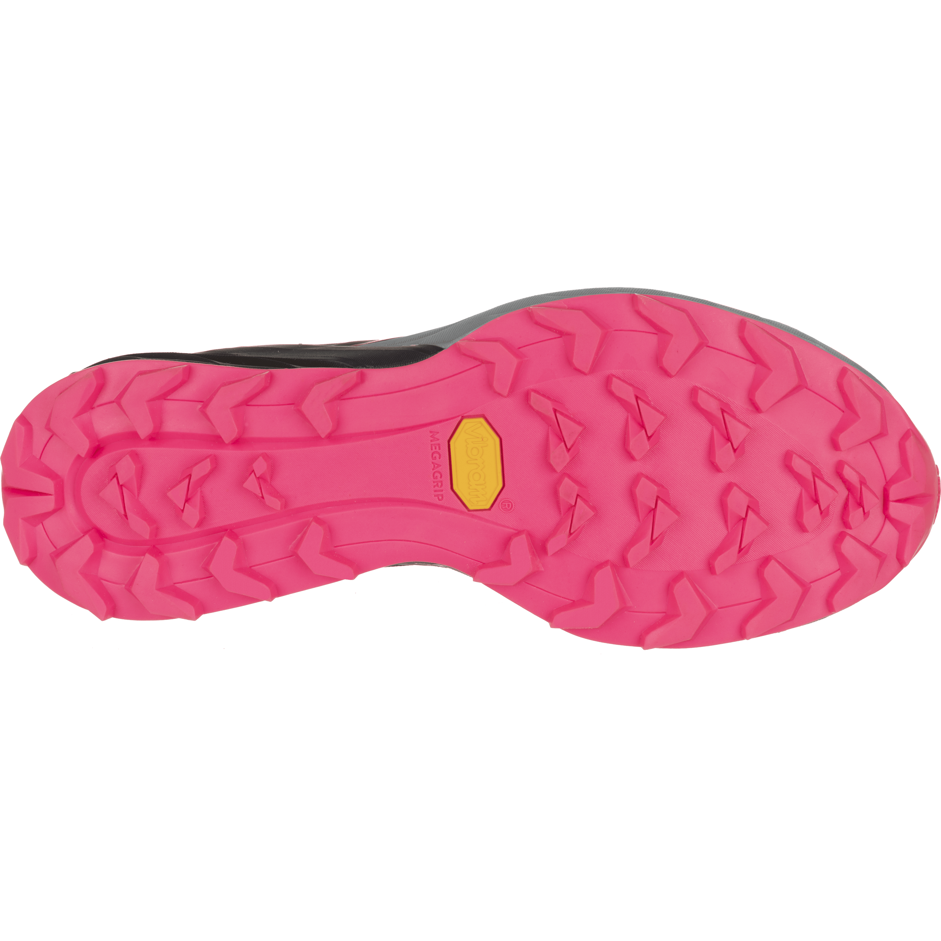 Alpine Laufschuh Damen perspective_view image