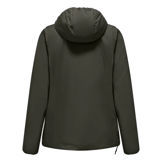 perspective_view image