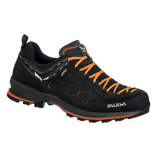 Mountain Trainer 2 GORE-TEX® Herrenschuhe still image