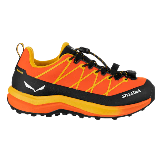 Wildfire 2 Powertex Shoe Kids perspective_view image